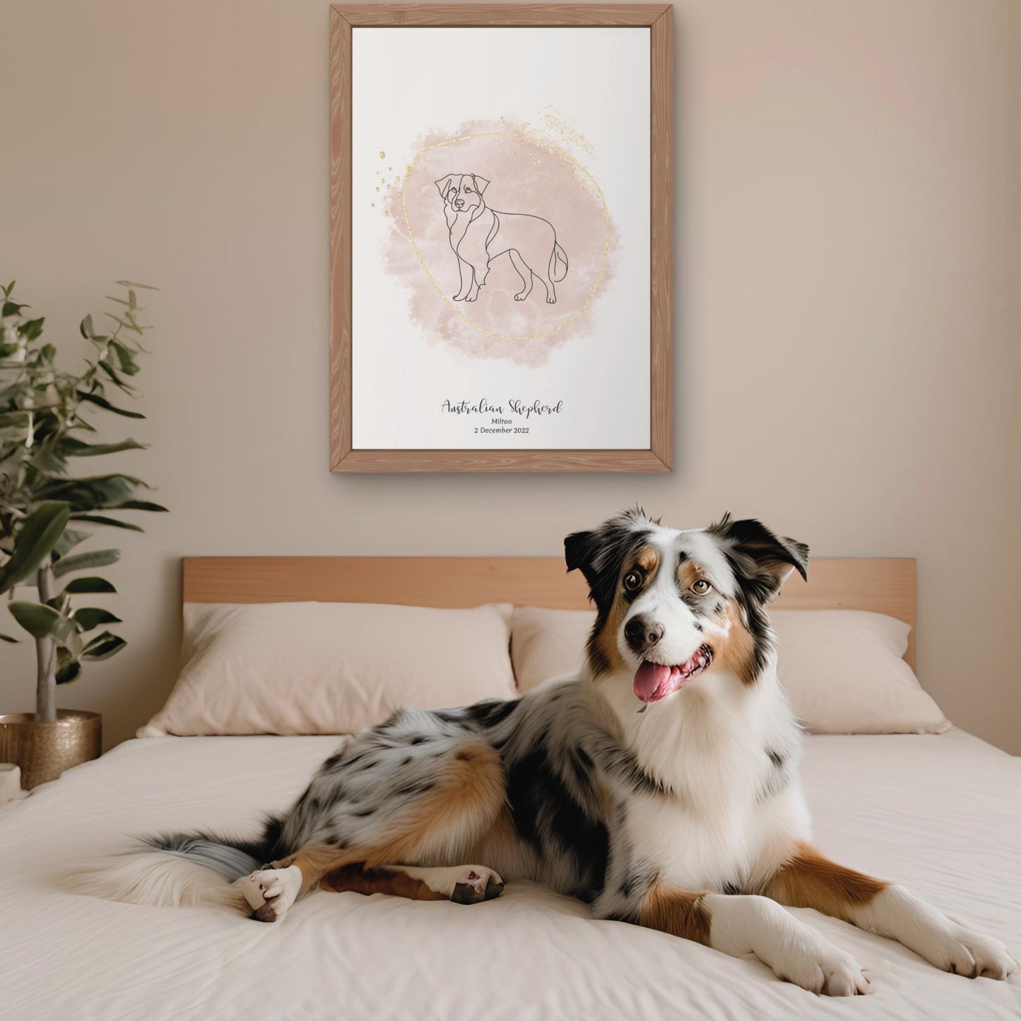 Minimalistisk beige poster med Australian Shepherd och en energisk Australian Shepherd-hund bredvid, design från Colorful Pets.