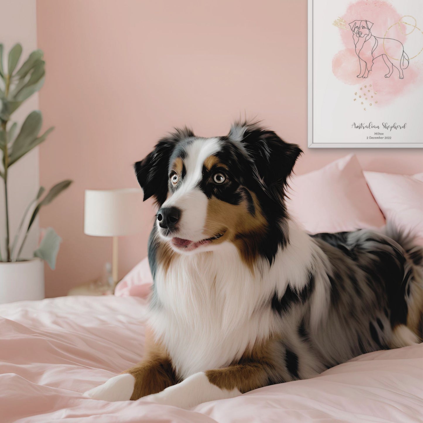 Minimalistisk rosa poster med Australian Shepherd och en energisk Australian Shepherd-hund bredvid, design från Colorful Pets.