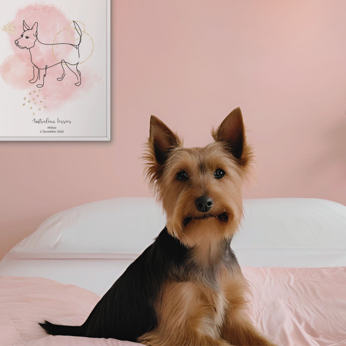 Minimalistisk rosa poster med Australisk terrier och en söt Australisk terrier-hund vid sidan, design från Colorful Pets.