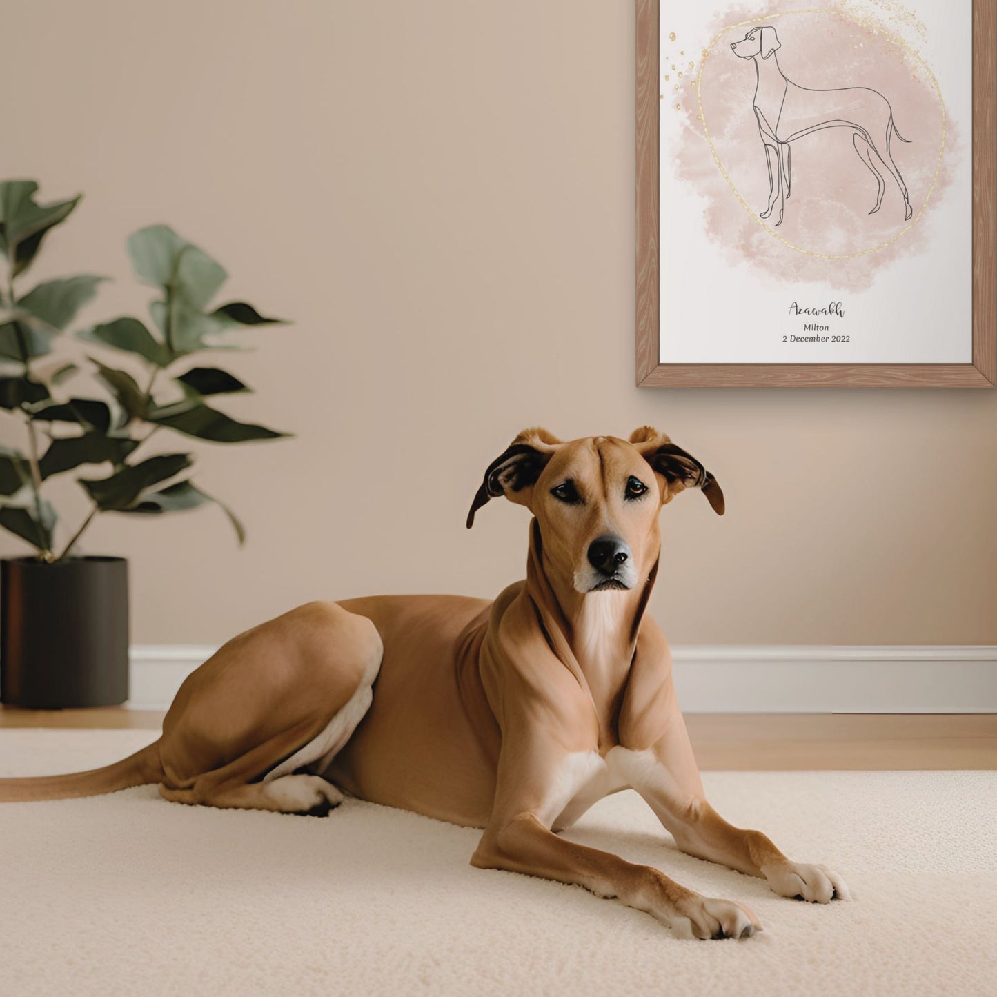 Minimalistisk beige poster med Azawakh och en elegant Azawakh-hund bredvid, design från Colorful Pets.