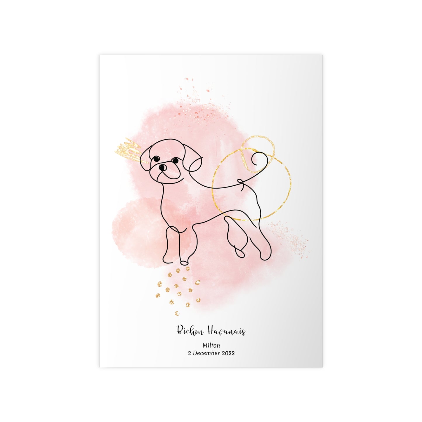 Minimalistisk rosa poster med Bichon Havanais, personlig design från Colorful Pets.