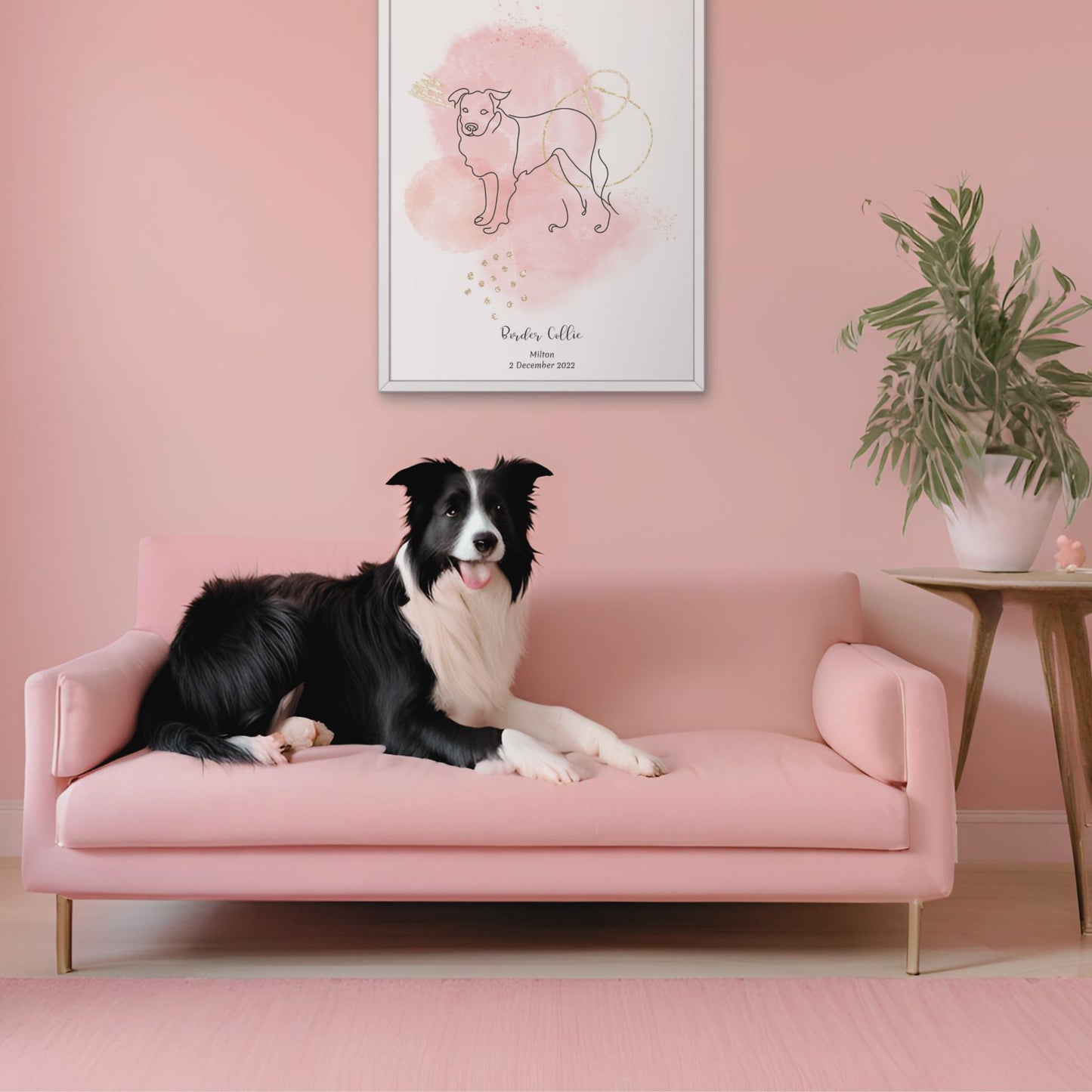 Minimalistisk rosa poster med Border Collie och en charmig Border Collie-hund vid sidan, design från Colorful Pets.
