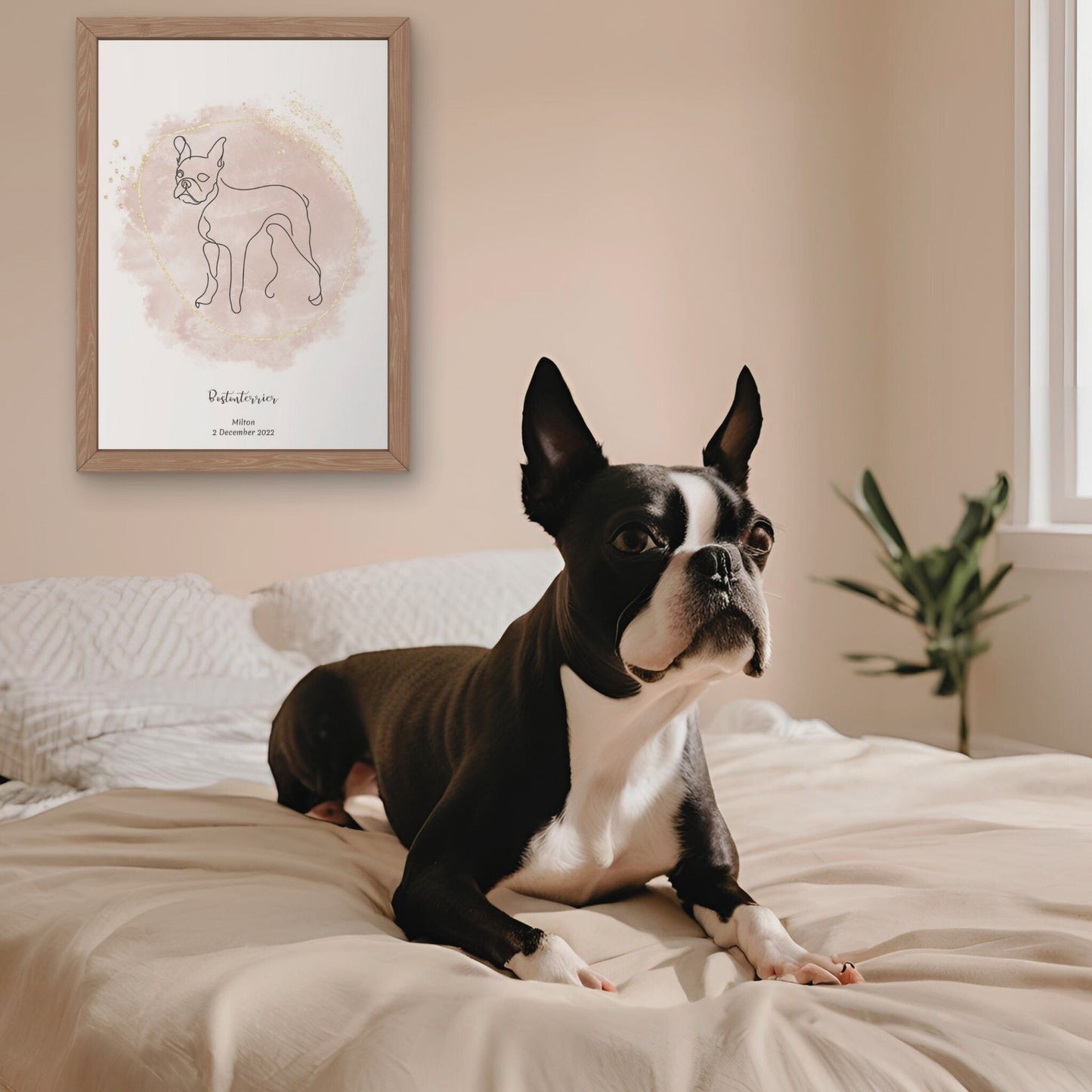 Minimalistisk beige poster med Bostonterrier och en söt Bostonterrier-hund bredvid, design från Colorful Pets.