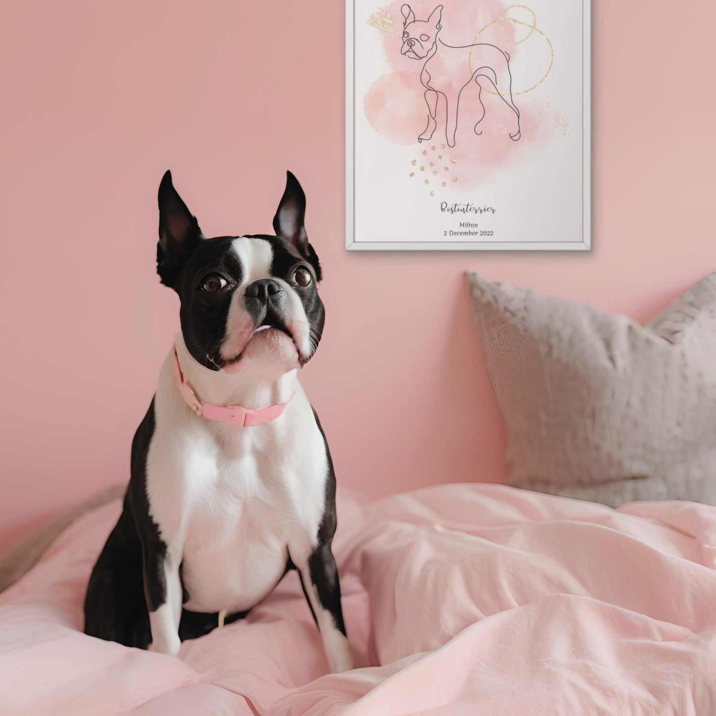 Minimalistisk rosa poster med Bostonterrier och en söt Bostonterrier-hund bredvid, design från Colorful Pets.