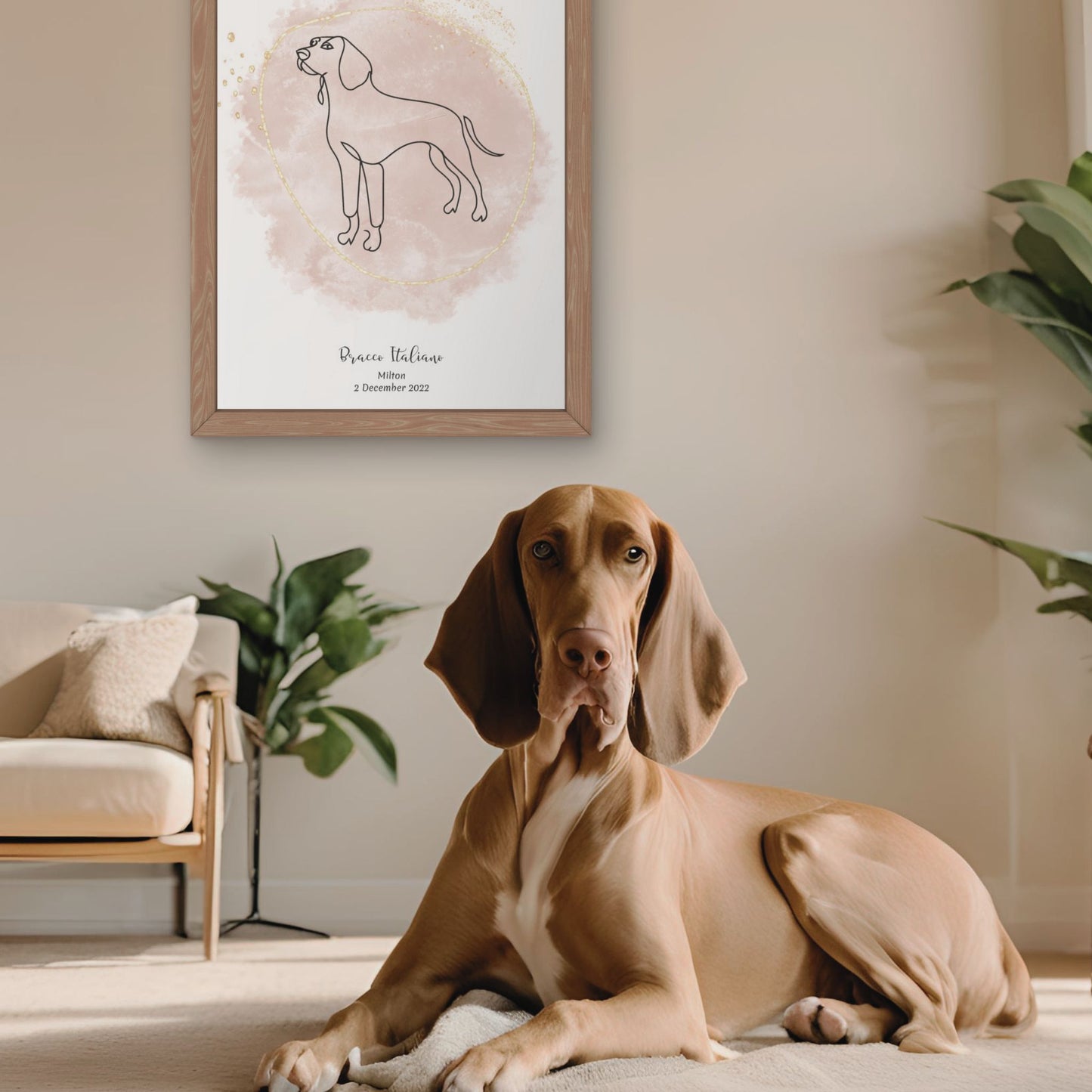 Minimalistisk beige poster med Bracco Italiano och en elegant Bracco Italiano-hund bredvid, design från Colorful Pets.
