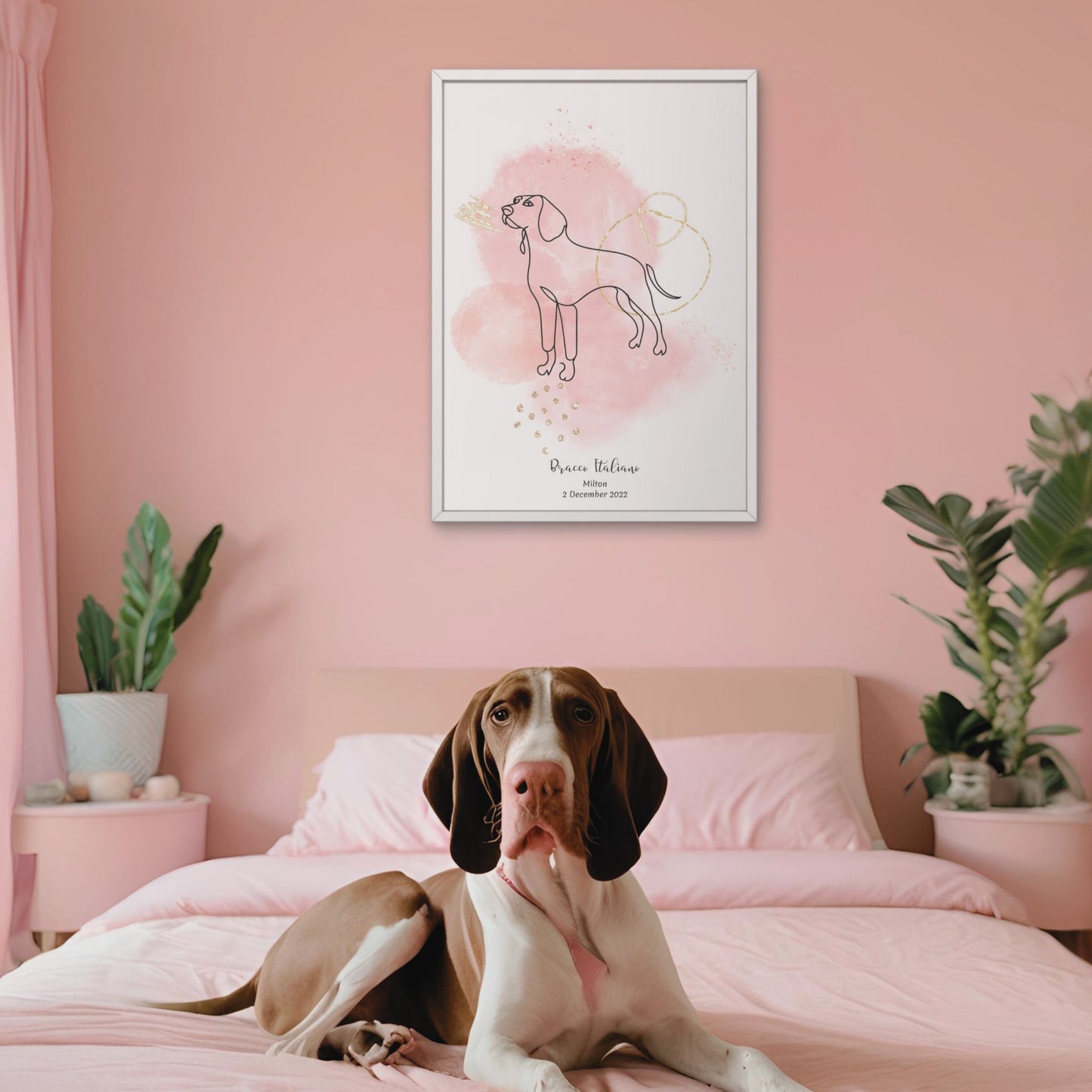 Minimalistisk rosa poster med Bracco Italiano och en charmig Bracco Italiano-hund bredvid, design från Colorful Pets.