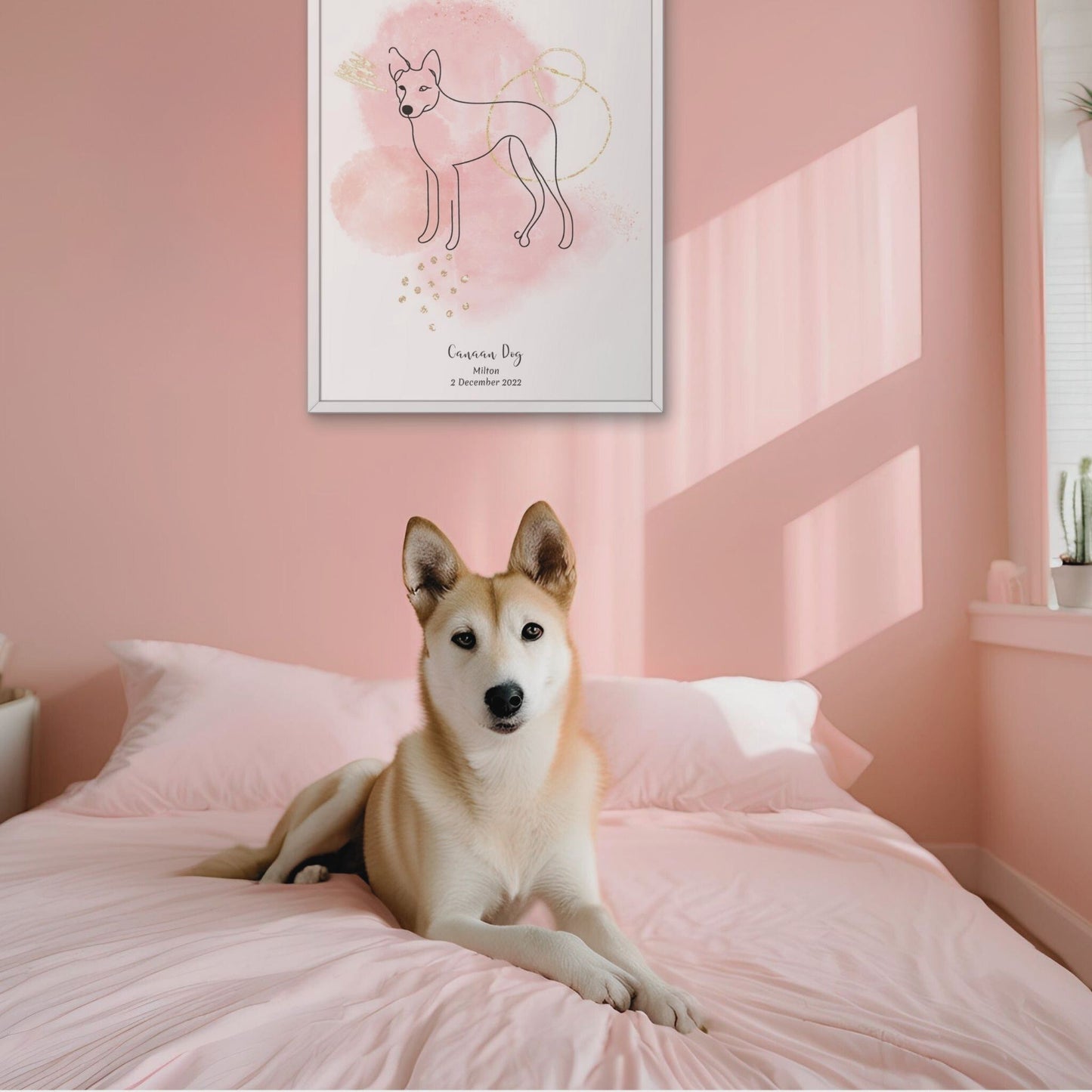Minimalistisk rosa poster med Canaan Dog och en charmig Canaan Dog-hund bredvid, design från Colorful Pets.