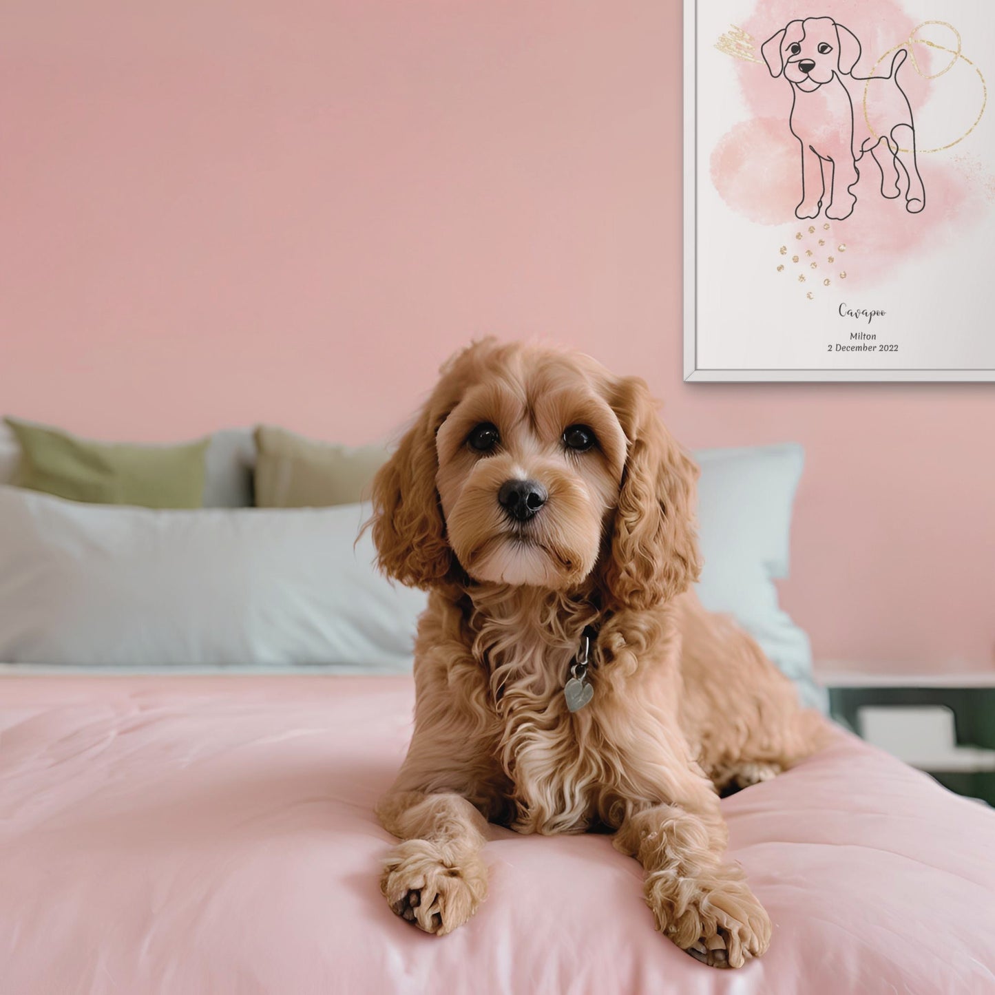 Minimalistisk rosa poster med Cavapoo och en charmig Cavapoo-hund bredvid, design från Colorful Pets.