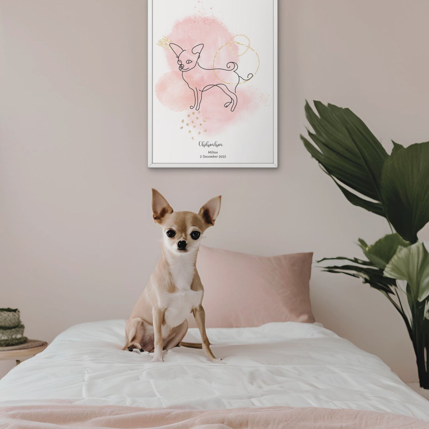 Minimalistisk rosa poster med Chihuahua och en söt Chihuahua-hund bredvid, design från Colorful Pets.