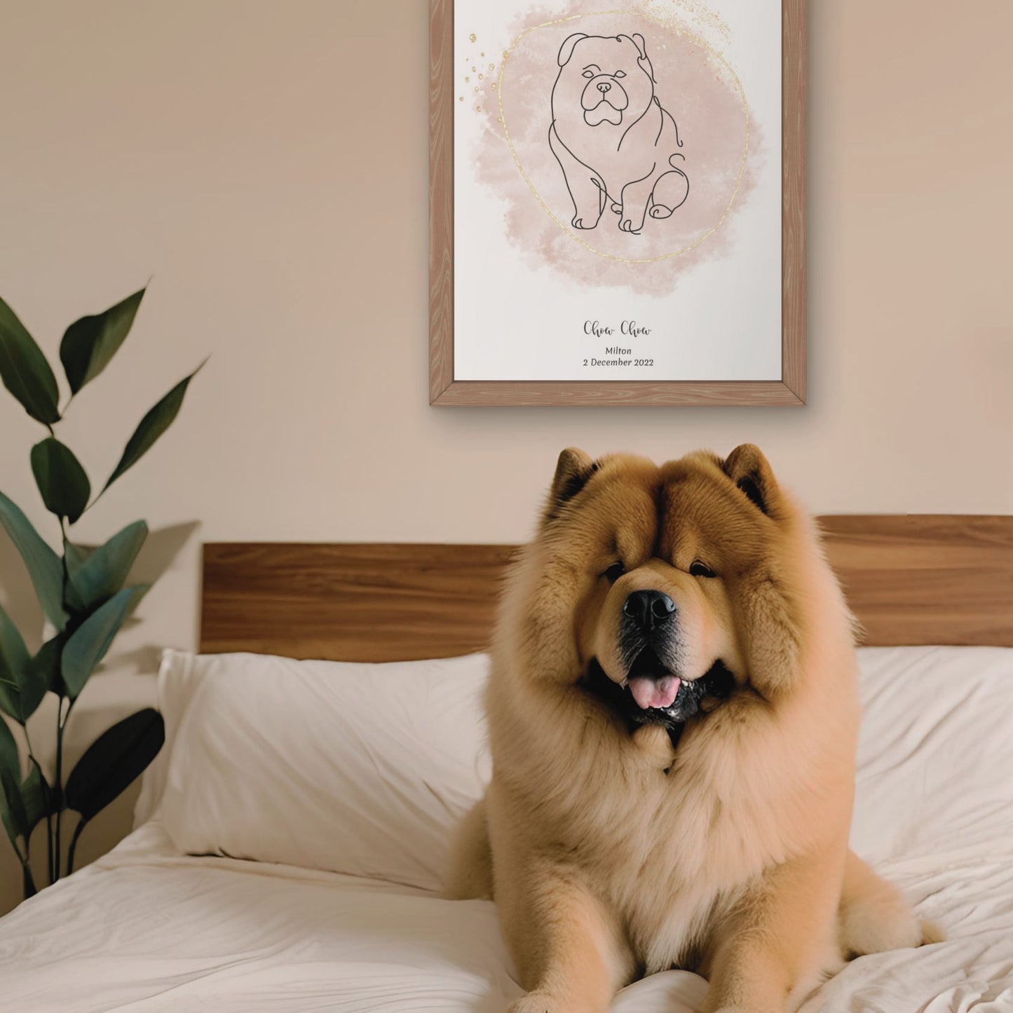 Minimalistisk beige poster med Chow Chow och en fluffig Chow Chow-hund bredvid, design från Colorful Pets.