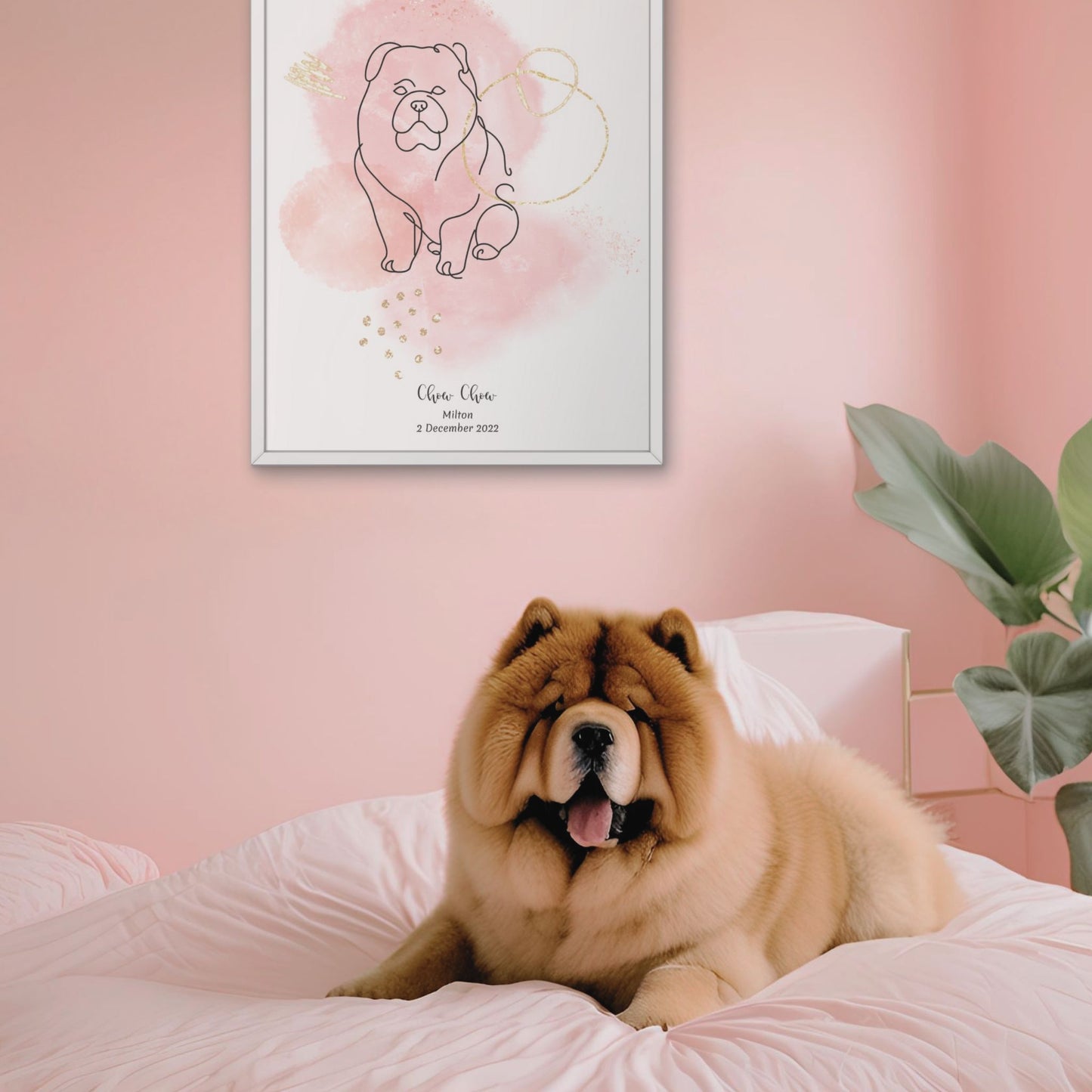 Minimalistisk rosa poster med Chow Chow och en fluffig Chow Chow-hund bredvid, design från Colorful Pets.