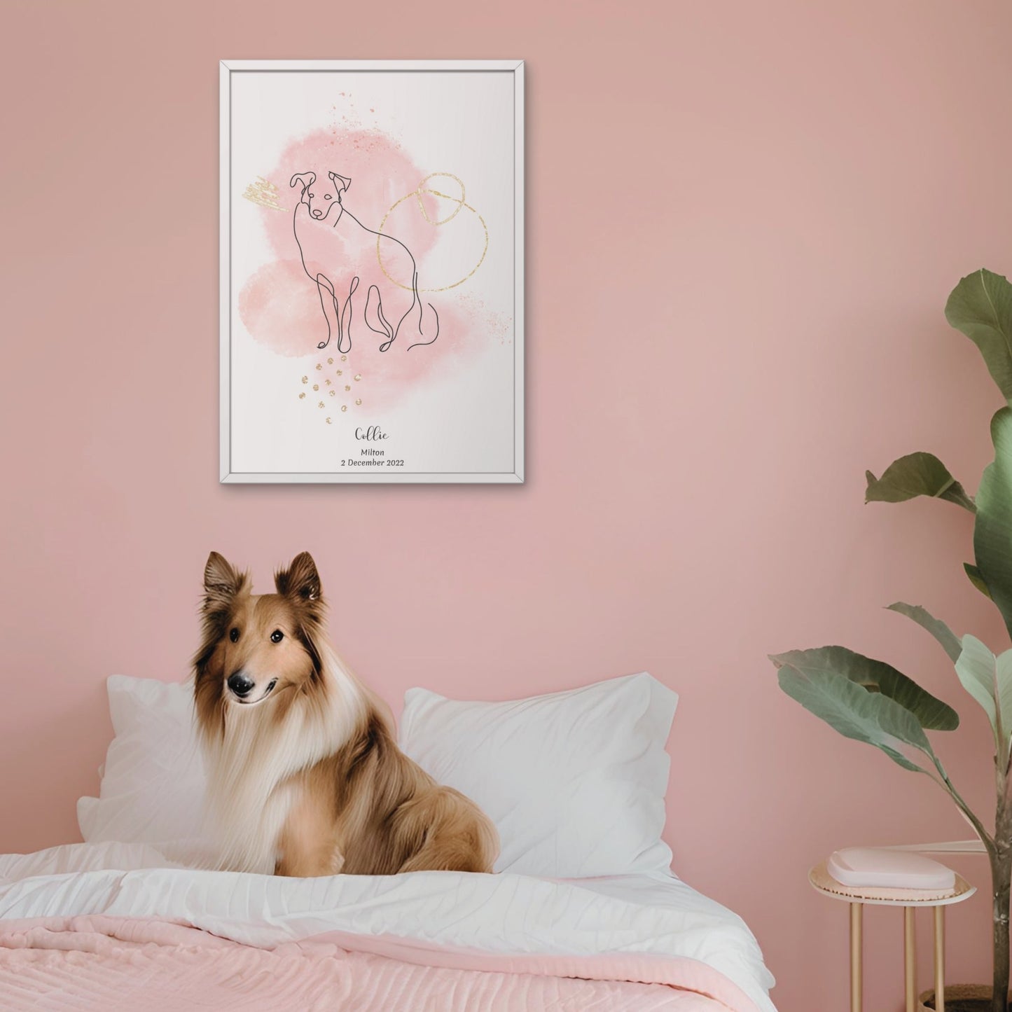 Minimalistisk rosa poster med Collie och en charmig Collie-hund bredvid, design från Colorful Pets.