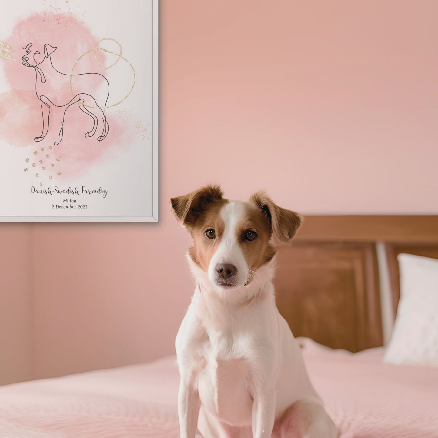 Minimalistisk rosa poster med dansk-svensk gårdshund och en söt dansk-svensk gårdshund bredvid, design från Colorful Pets.