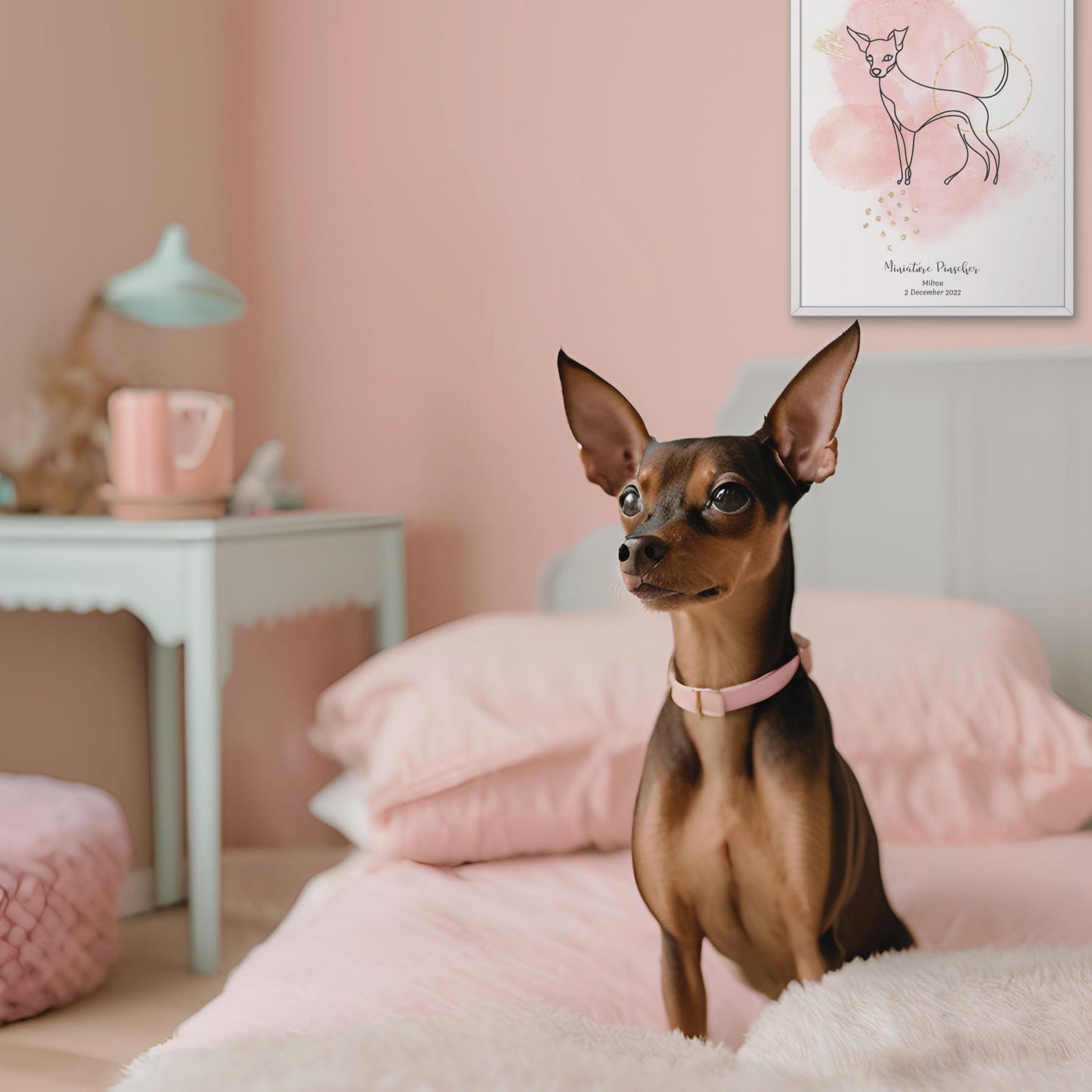 Minimalistisk rosa poster med Dvärgpincher och en söt Dvärgpincher-hund vid sidan, design från Colorful Pets.