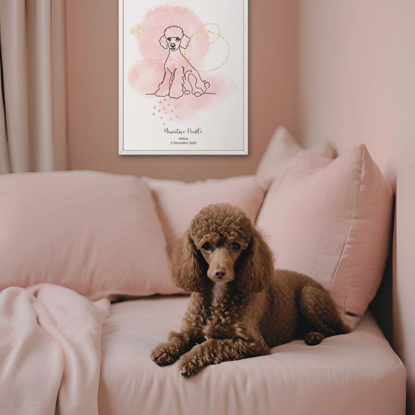Minimalistisk rosa poster med Dvärgpudel och en söt Dvärgpudel-hund bredvid, design från Colorful Pets.