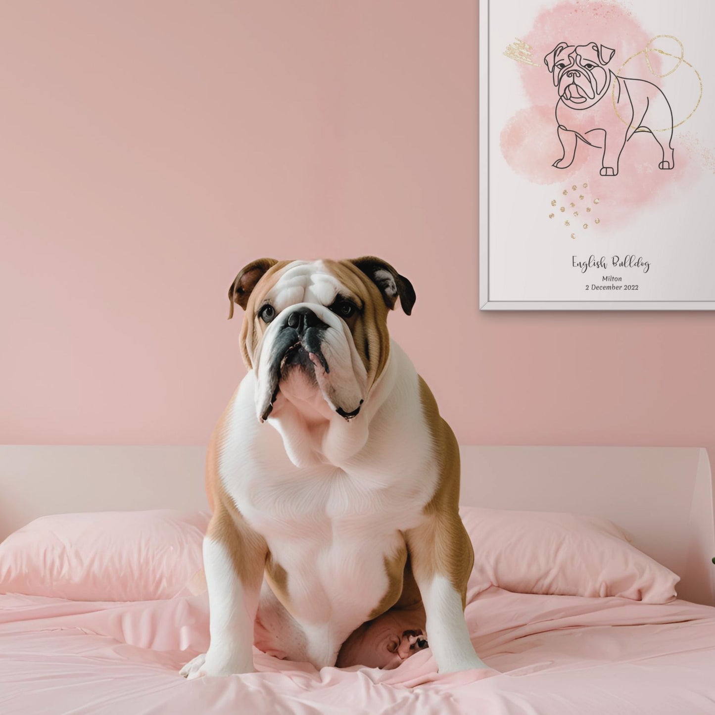 Minimalistisk rosa poster med Engelsk Bulldog och en söt Engelsk Bulldog-hund bredvid, design från Colorful Pets.