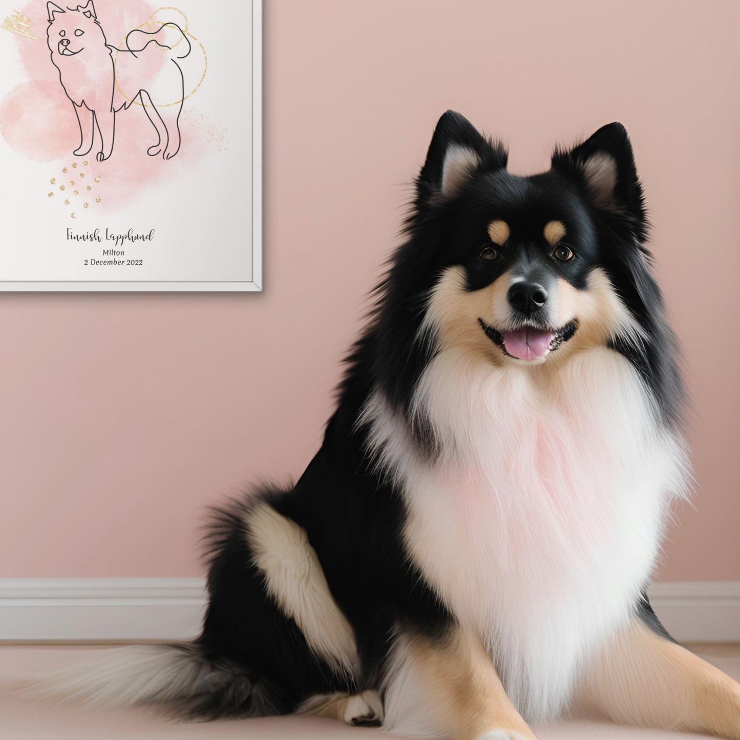 Minimalistisk rosa poster med Finsk Lapphund och en glad Finsk Lapphund-hund bredvid, design från Colorful Pets.