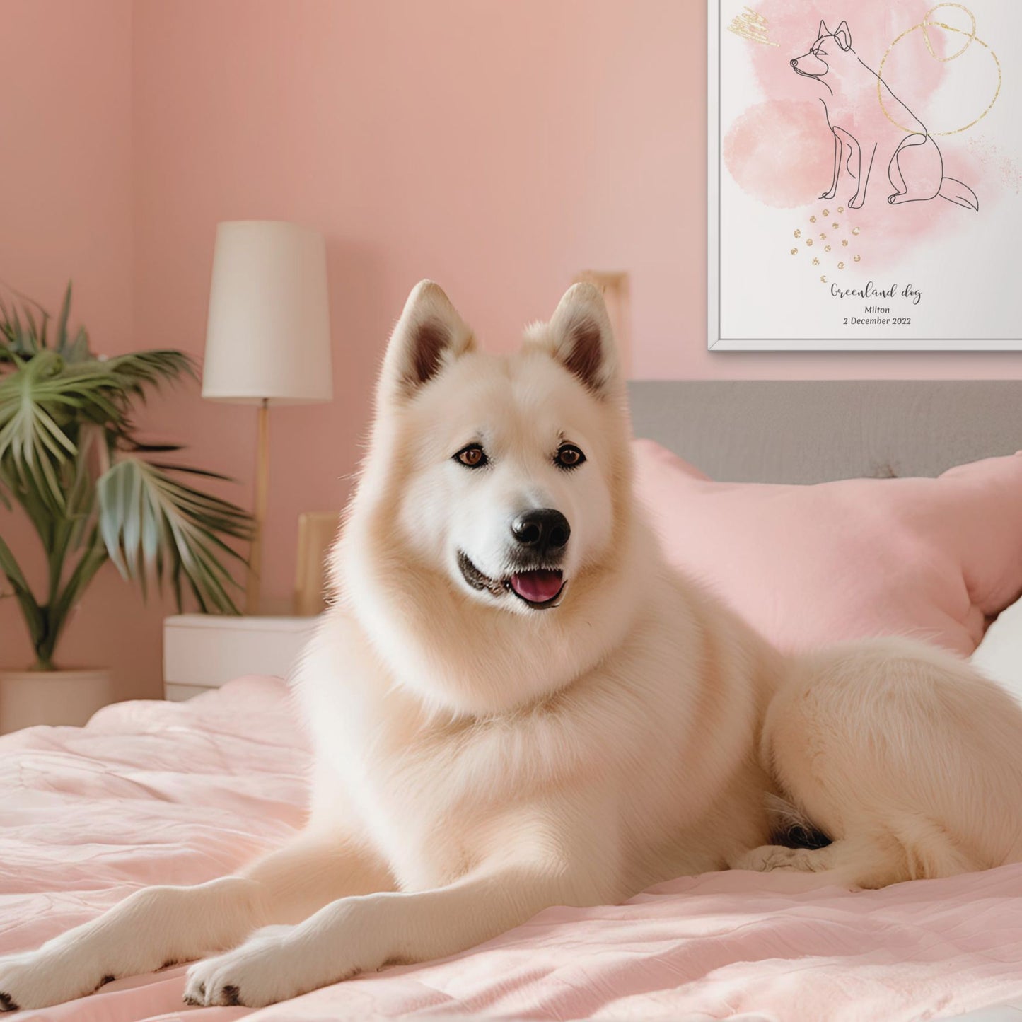 Minimalistisk rosa poster med Grönlandshund och en vacker Grönlandshund-hund bredvid, design från Colorful Pets.