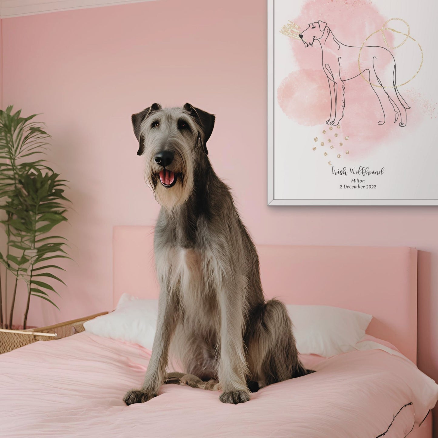 Minimalistisk rosa poster med Irländsk Varghund och en ståtlig Irländsk Varghund-hund bredvid, design från Colorful Pets.