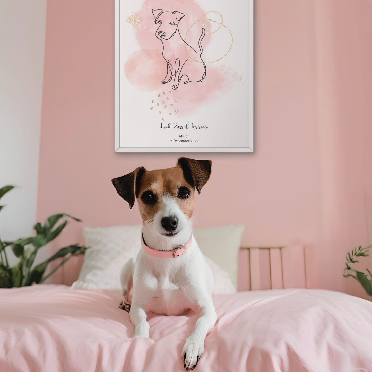 Minimalistisk rosa poster med Jack Russell Terrier och en livlig Jack Russell Terrier-hund bredvid, design från Colorful Pets.