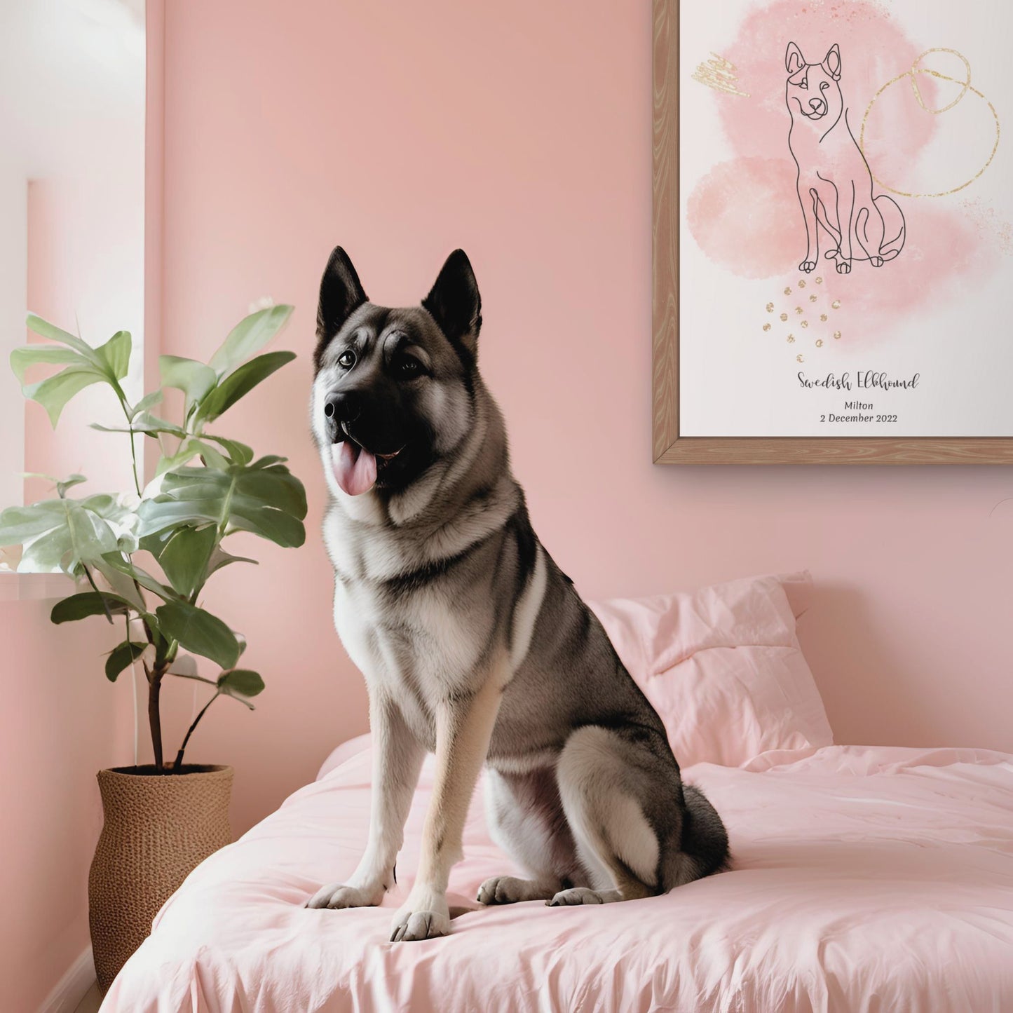 Minimalistisk rosa poster med Jämthund och en ståtlig Jämthund-hund bredvid, design från Colorful Pets.