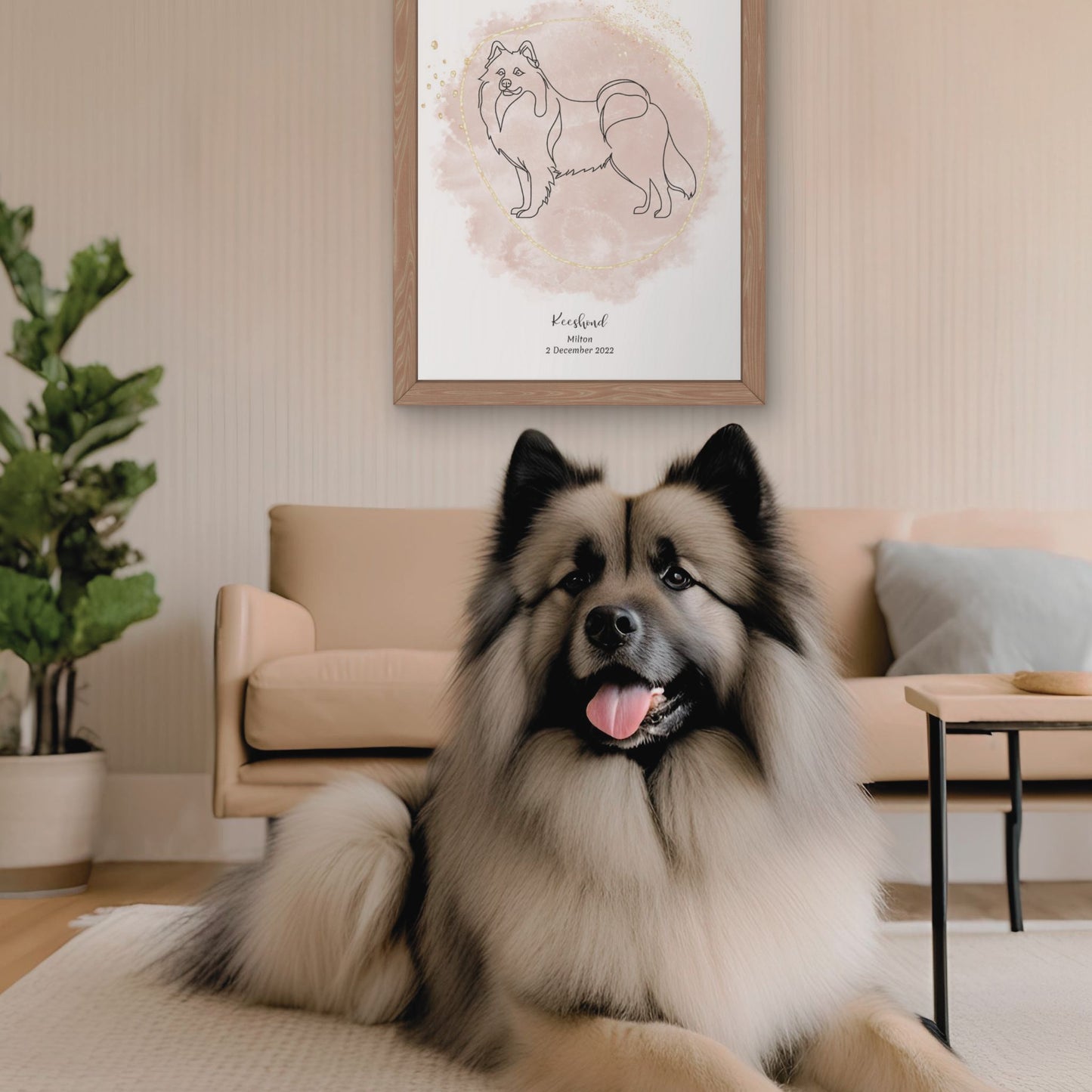 Minimalistisk beige poster med Keeshond och en fluffig Keeshond-hund bredvid, design från Colorful Pets.