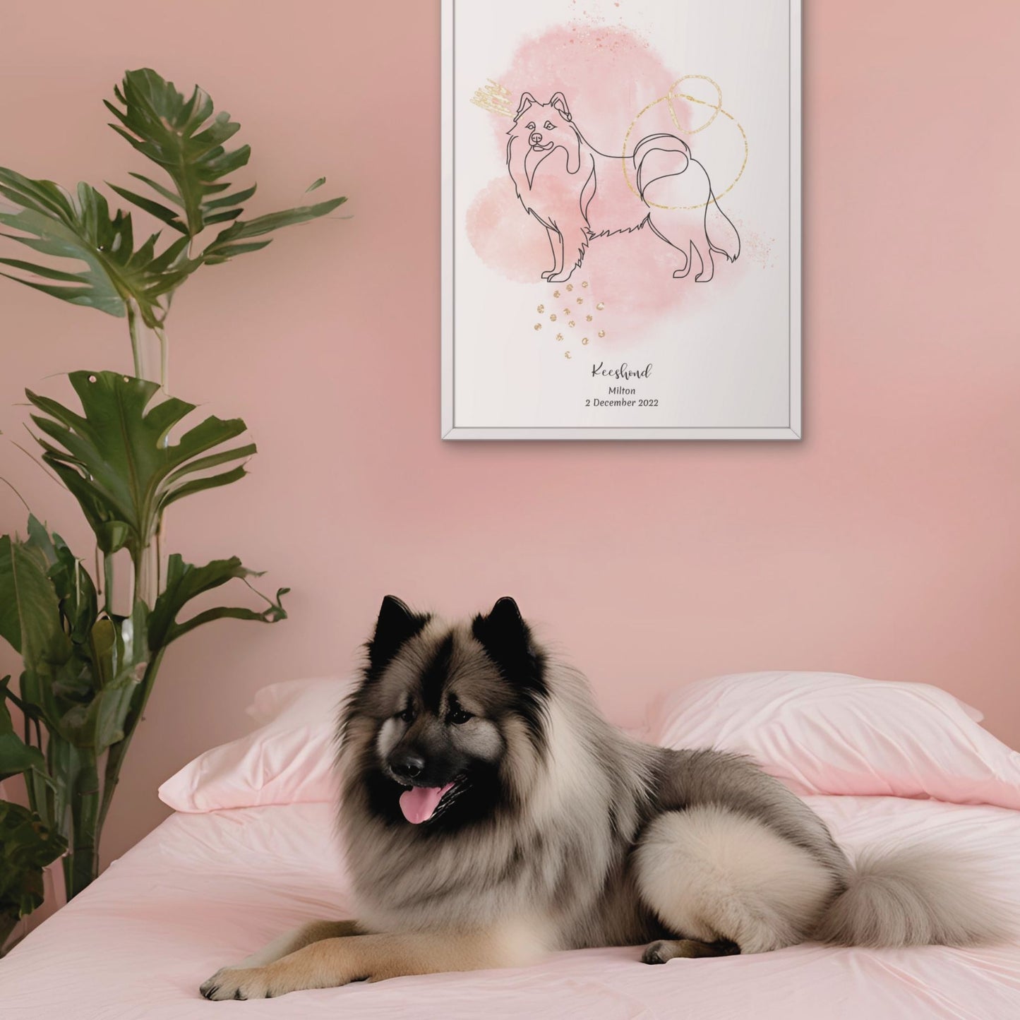 Minimalistisk rosa poster med Keeshond och en fluffig Keeshond-hund bredvid, design från Colorful Pets.