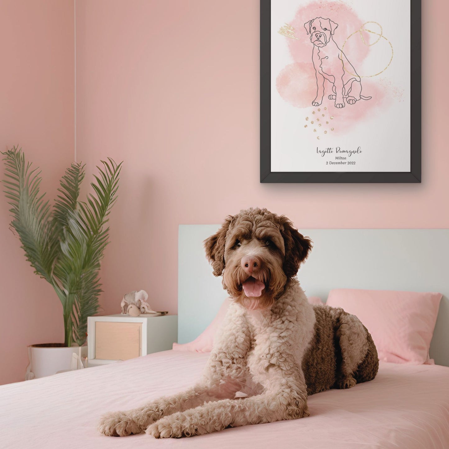 Minimalistisk rosa poster med Lagotto Romagnolo och en lockig Lagotto Romagnolo-hund bredvid, design från Colorful Pets.