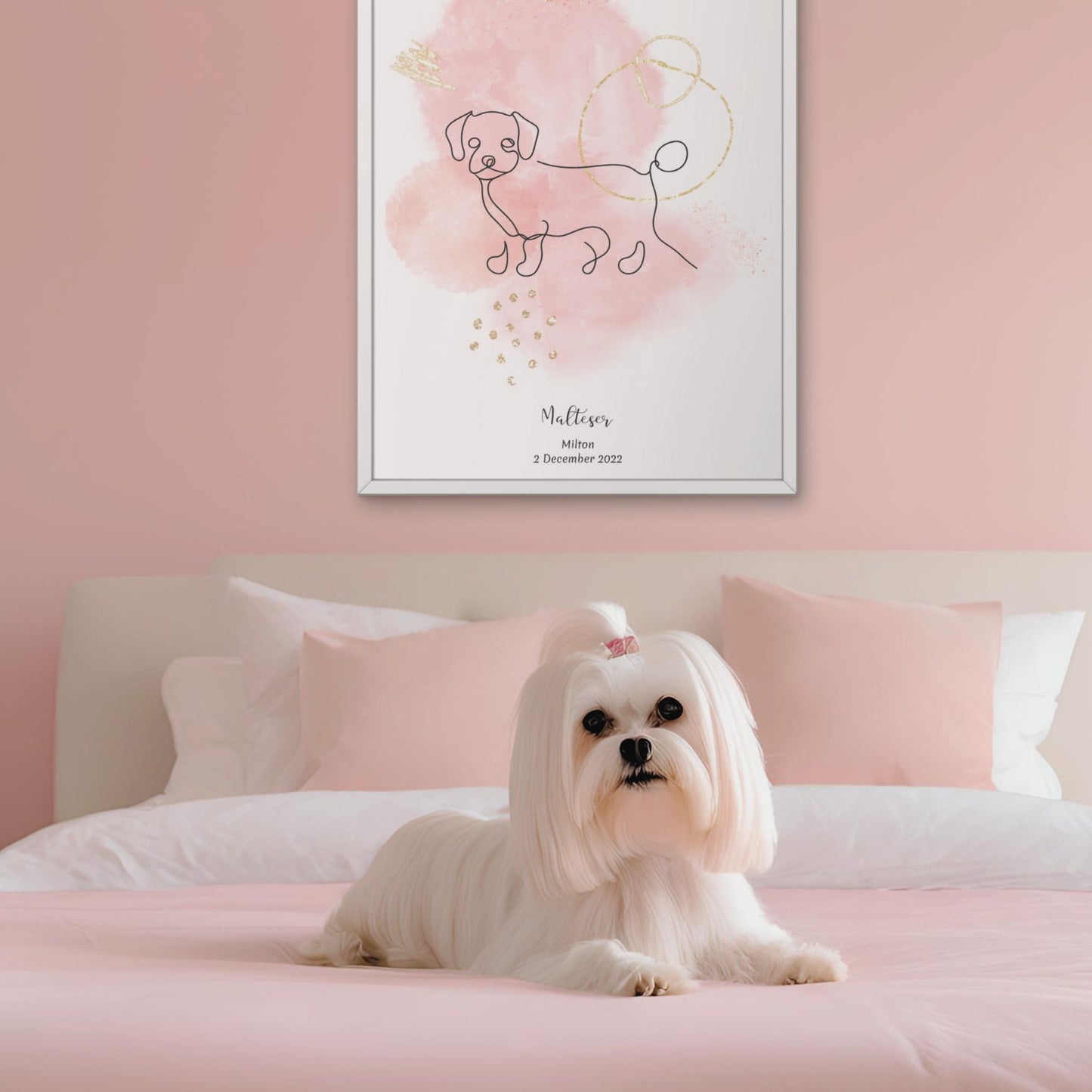 Minimalistisk rosa poster med Malteser och en söt Malteser-hund bredvid, design från Colorful Pets.