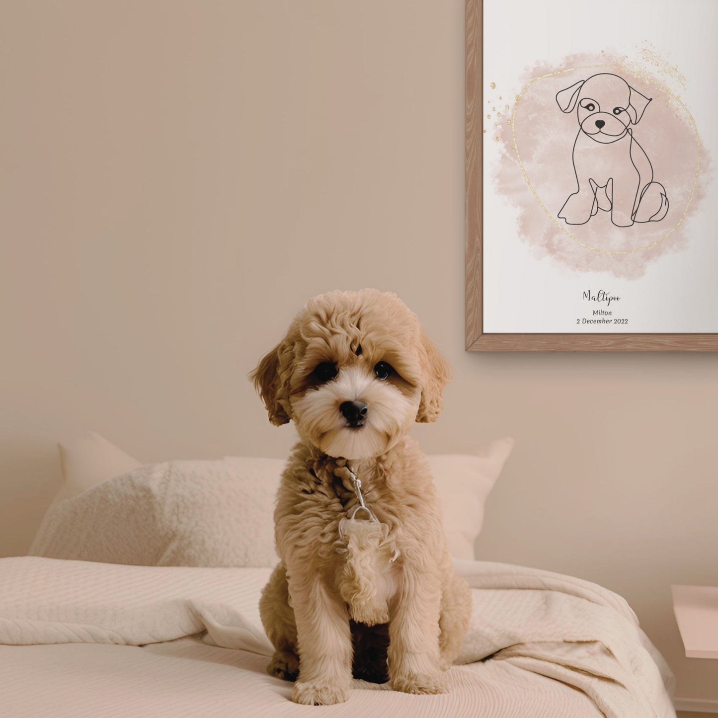 Minimalistisk beige poster med Maltipoo och en charmig Maltipoo-hund bredvid, design från Colorful Pets.