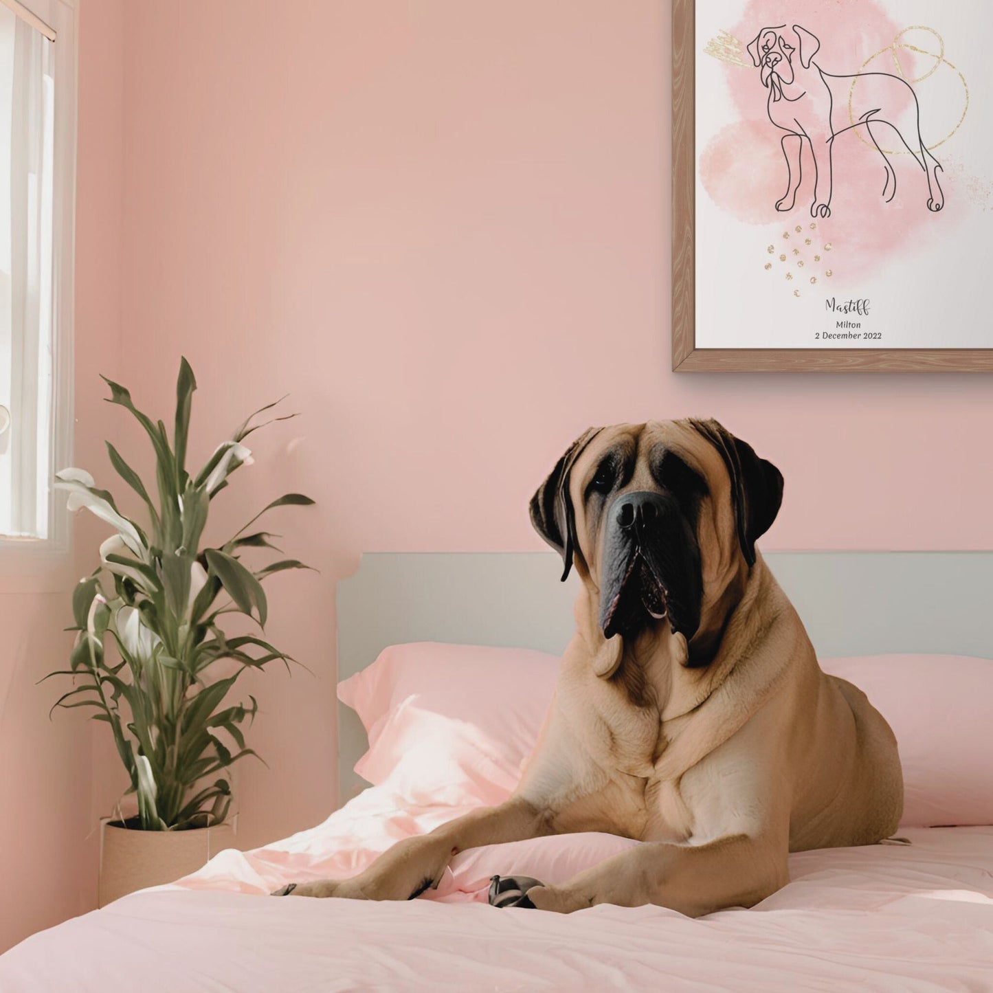 Minimalistisk rosa poster med Mastiff och en majestätisk Mastiff-hund bredvid, design från Colorful Pets.