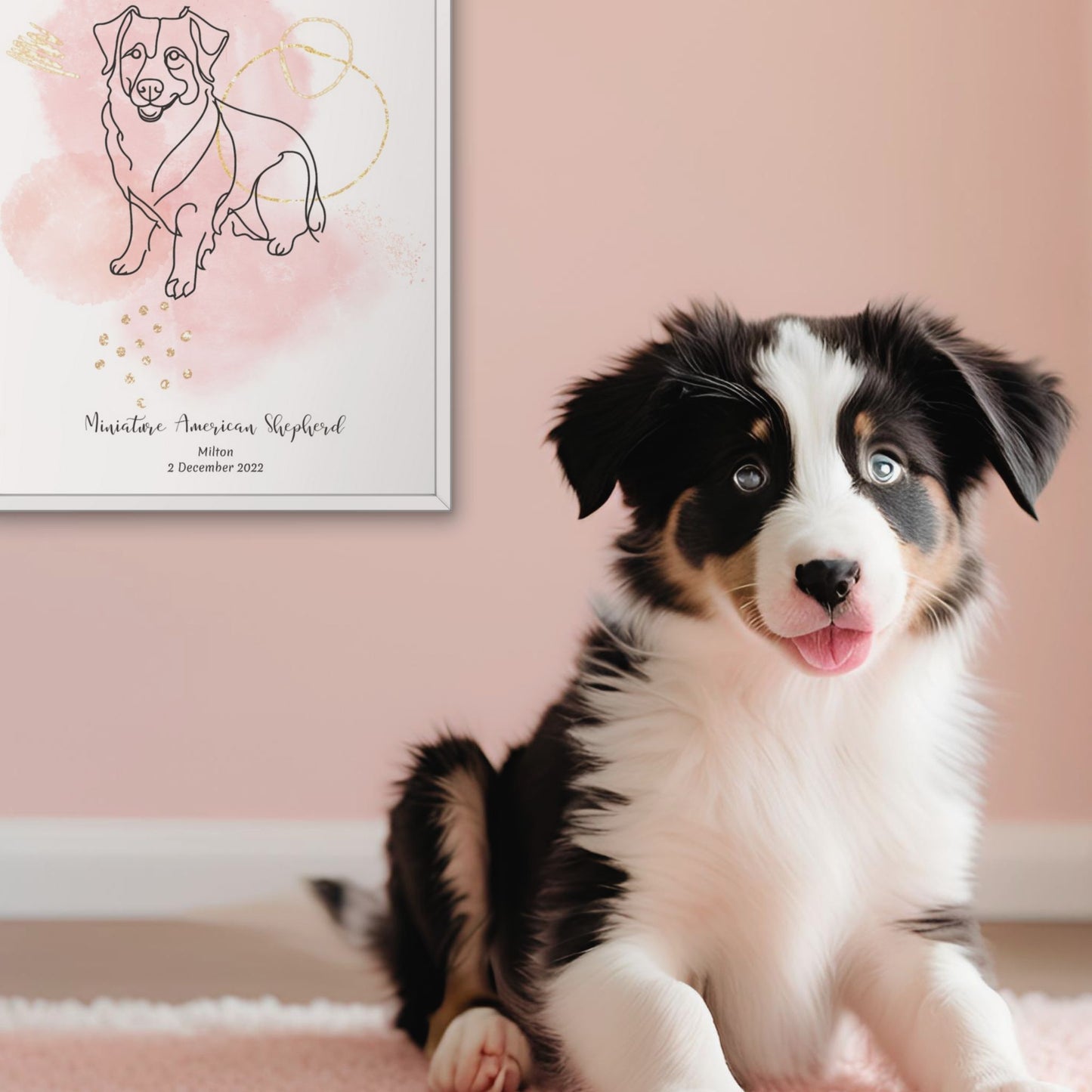 Minimalistisk rosa poster med Miniature American Shepherd och en lekfull Miniature American Shepherd-hund bredvid, design från Colorful Pets.