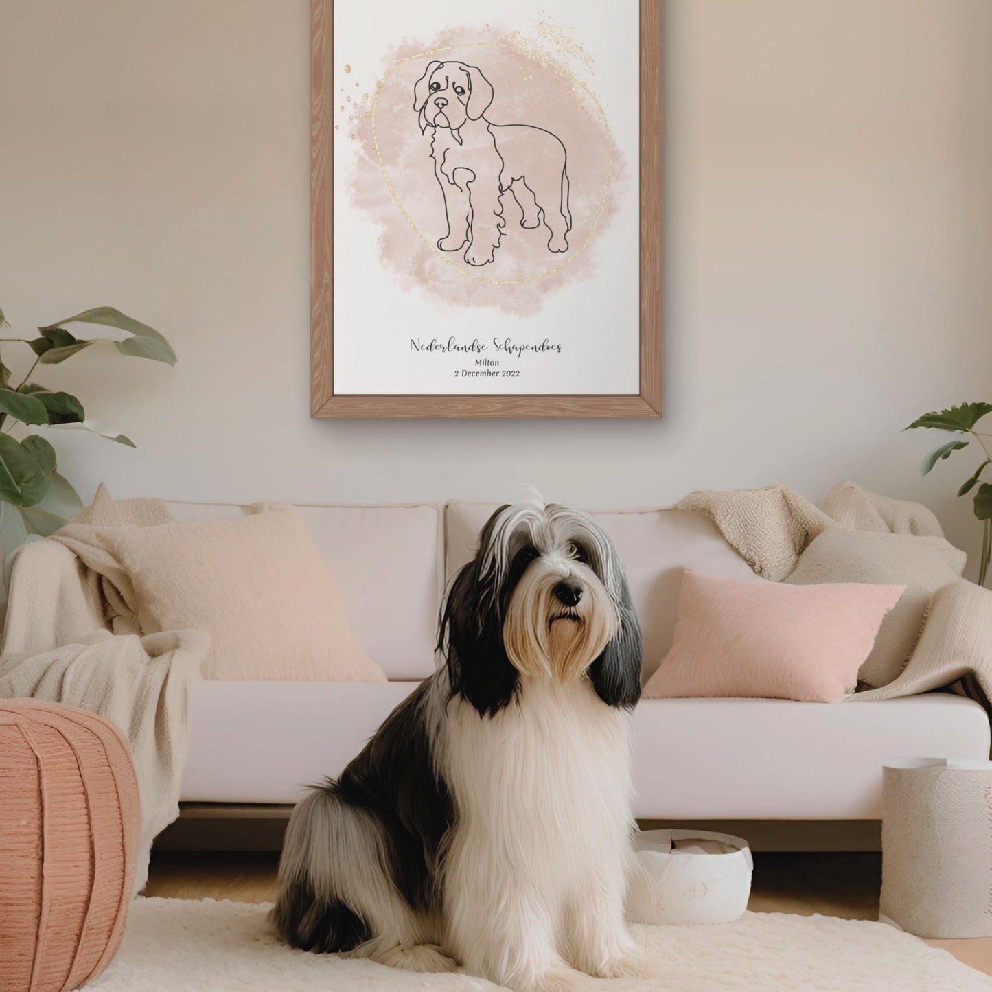 Minimalistisk beige poster med Nederlandse Schapendoes och en charmig Nederlandse Schapendoes-hund bredvid, design från Colorful Pets.