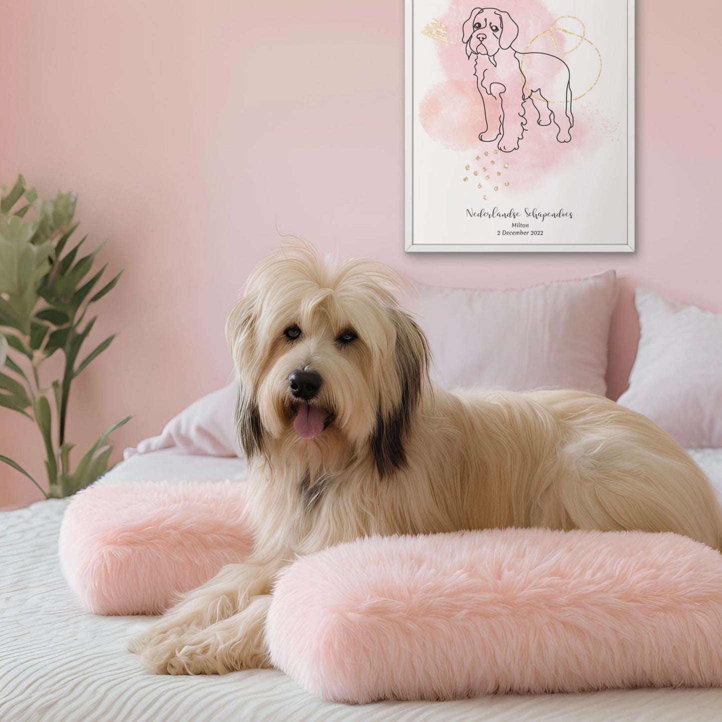 Minimalistisk rosa poster med Nederlandse Schapendoes och en charmig Nederlandse Schapendoes-hund bredvid, design från Colorful Pets.