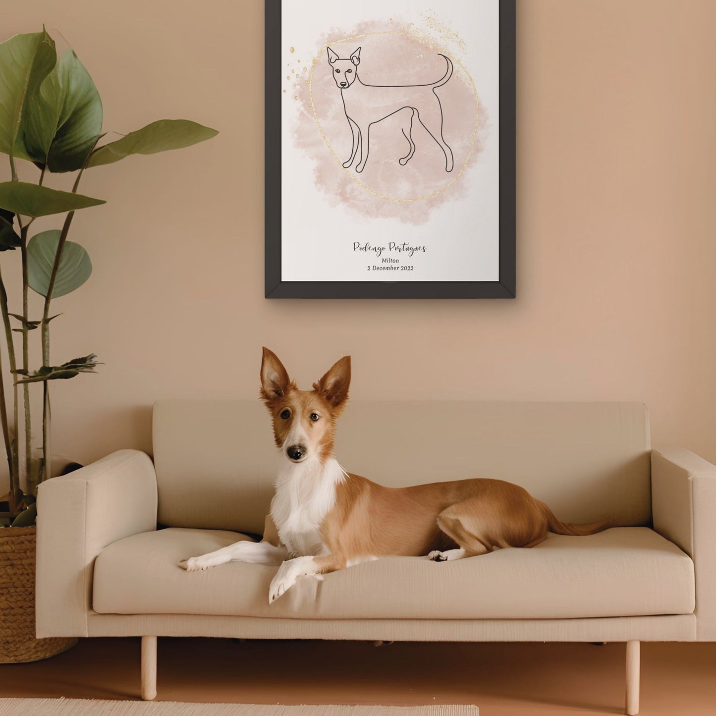 Minimalistisk beige poster med Podengo Portugues och en alert Podengo Portugues-hund bredvid, design från Colorful Pets.