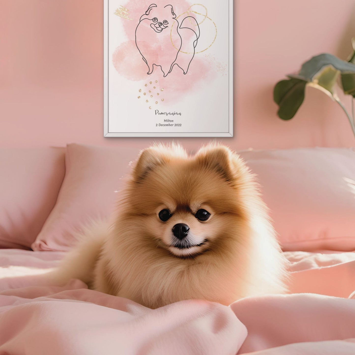 Minimalistisk rosa poster med Pomeranian och en söt, fluffig Pomeranian-hund bredvid, design från Colorful Pets.