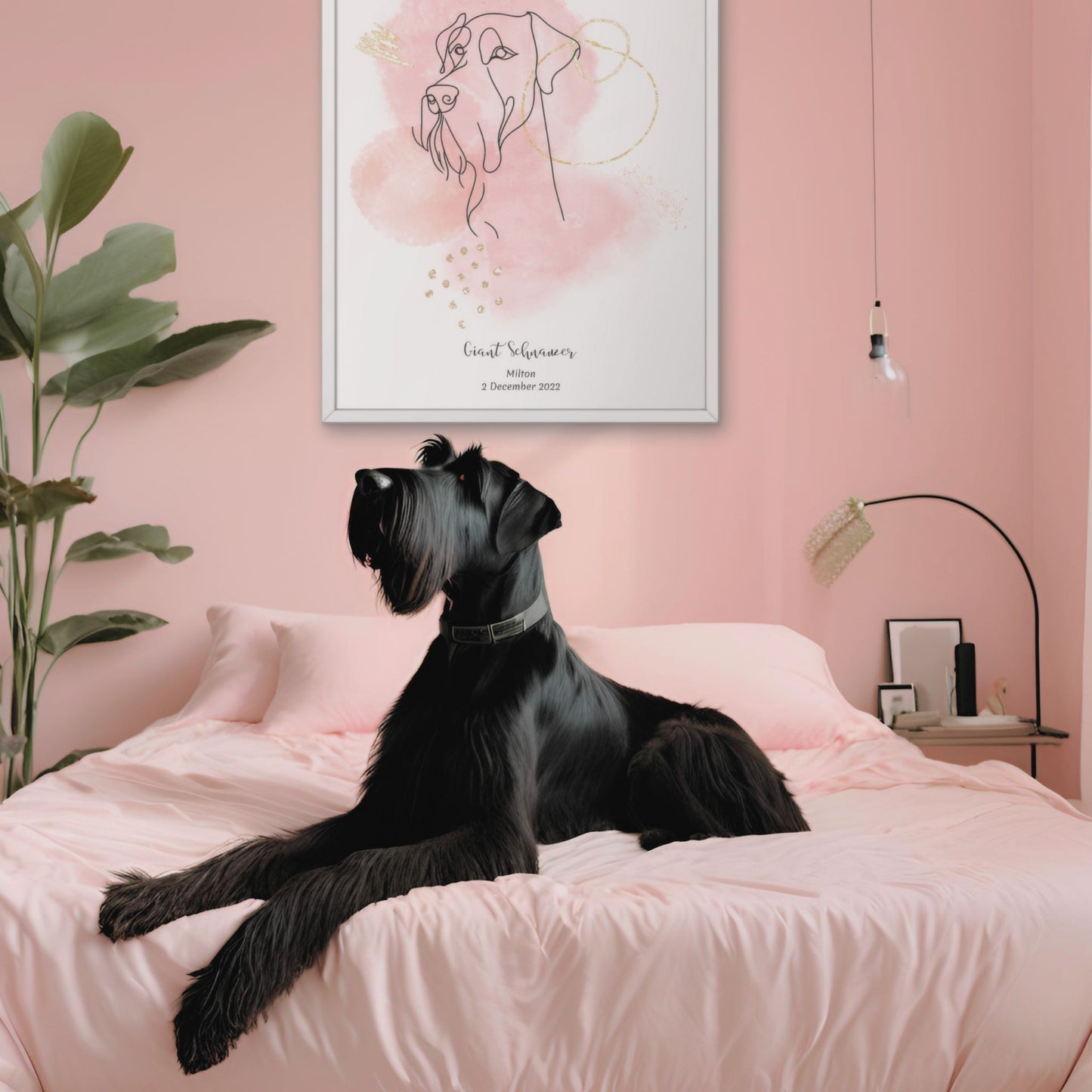 Minimalistisk rosa poster med Riesenschnauzer och en ståtlig Riesenschnauzer-hund bredvid, design från Colorful Pets.