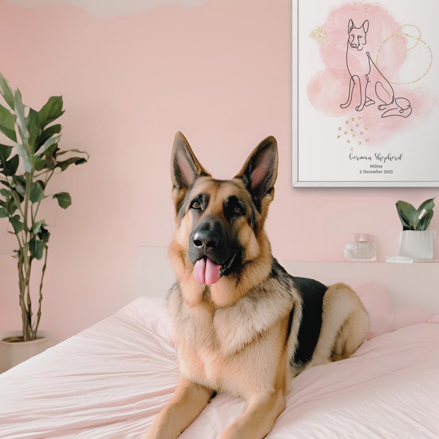 Minimalistisk rosa poster med Schäfer och en lojal Schäfer-hund bredvid, design från Colorful Pets.