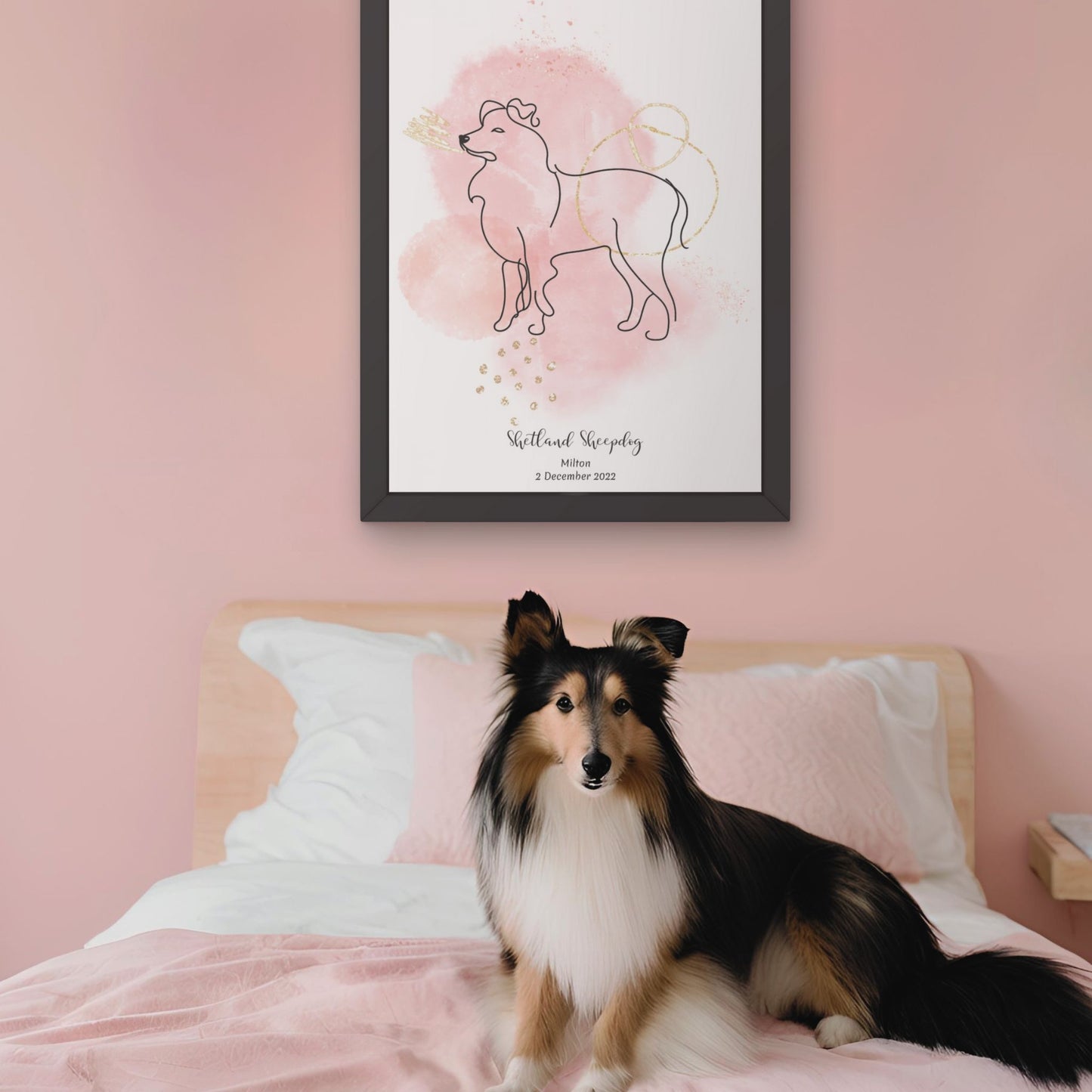 Minimalistisk rosa poster med Shetland Sheepdog och en söt Shetland Sheepdog-hund bredvid, design från Colorful Pets.