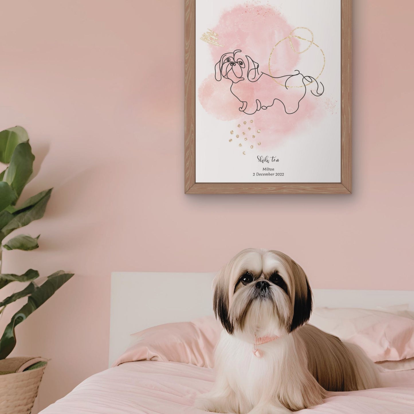 Minimalistisk rosa poster med Shih Tzu och en söt Shih Tzu-hund bredvid, design från Colorful Pets.