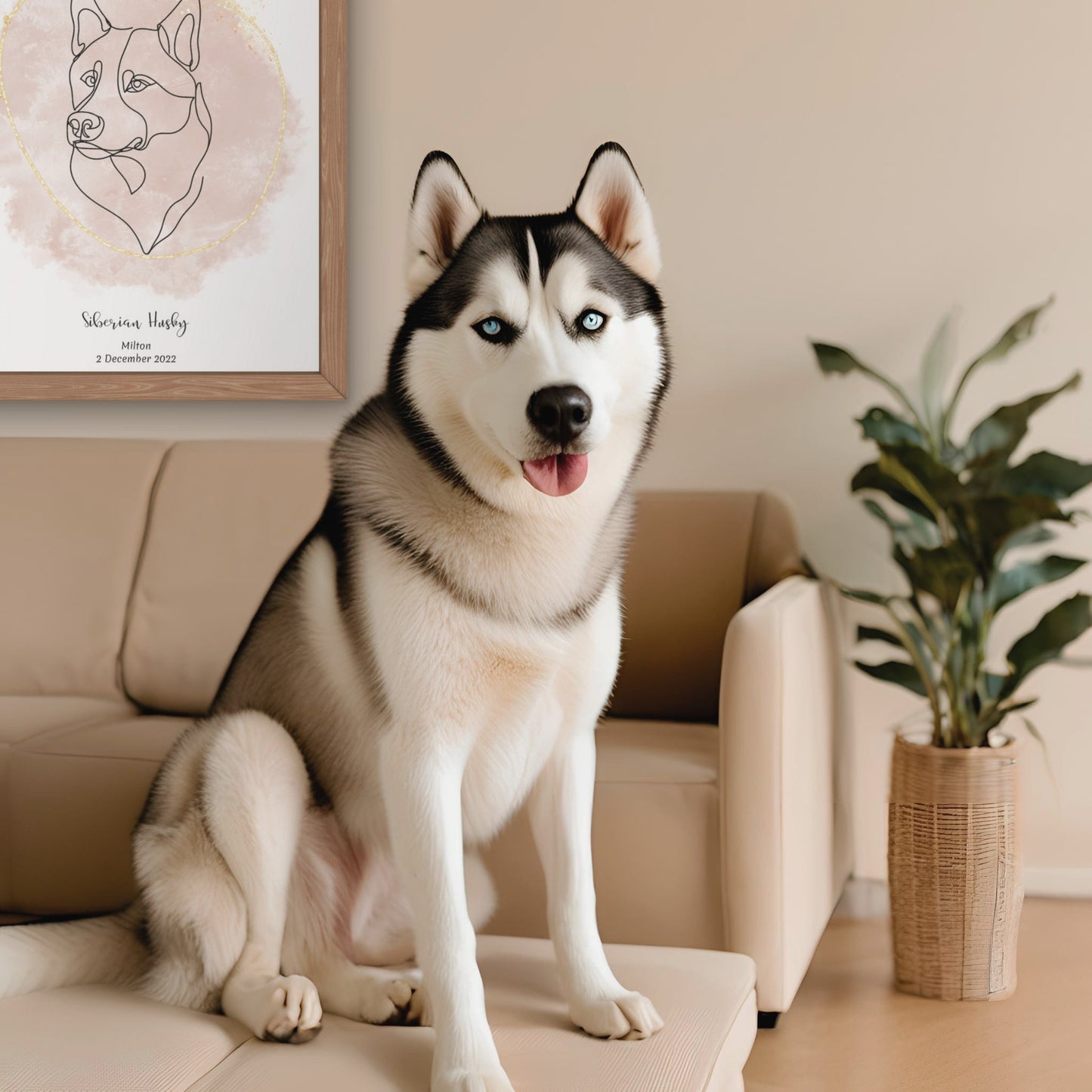 Minimalistisk beige poster med Siberian Husky och en vacker Siberian Husky-hund bredvid, design från Colorful Pets.