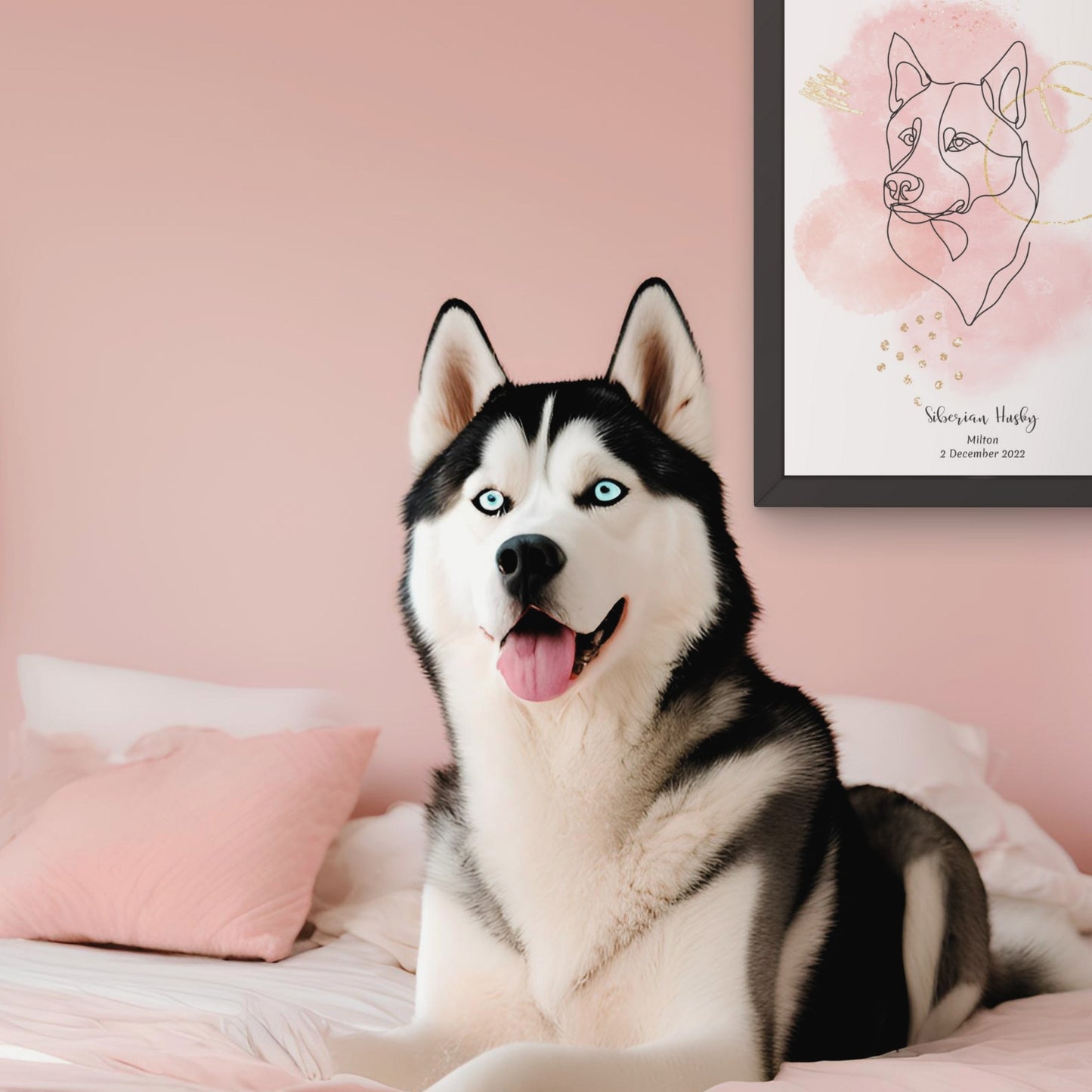 Minimalistisk rosa poster med Siberian Husky och en vacker Siberian Husky-hund bredvid, design från Colorful Pets.