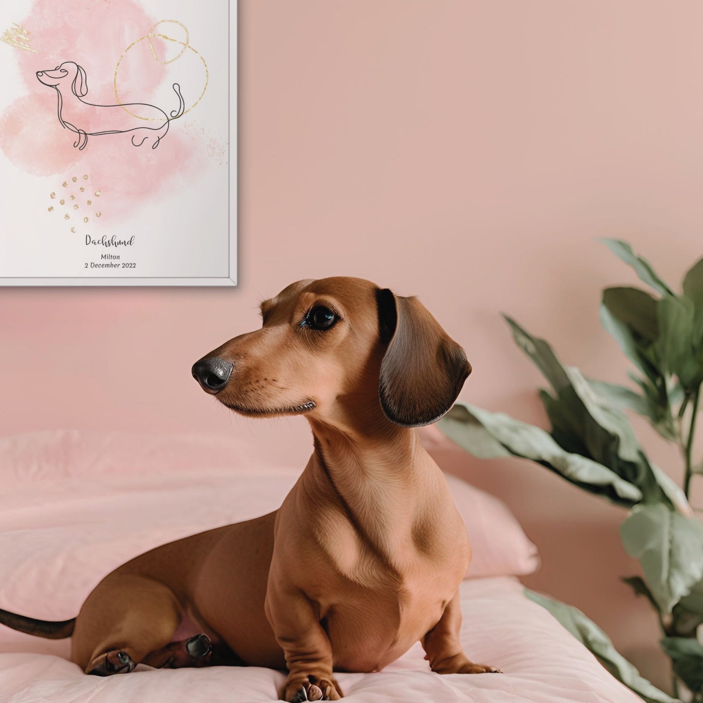 Minimalistisk rosa poster med Tax och en söt Tax-hund bredvid, design från Colorful Pets.