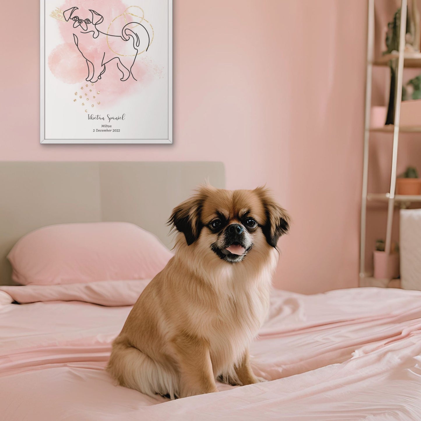 Minimalistisk rosa poster med Tibetansk Spaniel och en söt Tibetansk Spaniel-hund bredvid, design från Colorful Pets.