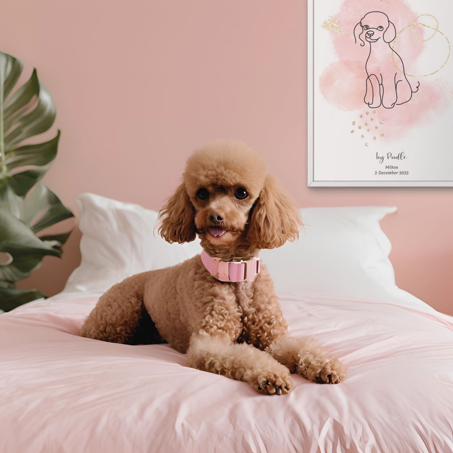 Minimalistisk rosa poster med Toy Pudel och en söt Toy Pudel-hund bredvid, design från Colorful Pets.