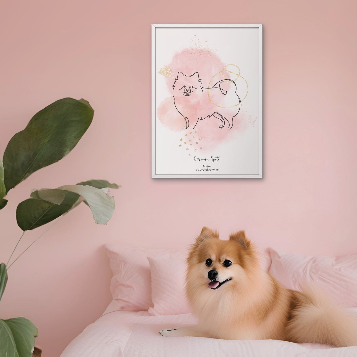 Minimalistisk rosa poster med Tysk Spets och en söt Tysk Spets-hund bredvid, design från Colorful Pets.