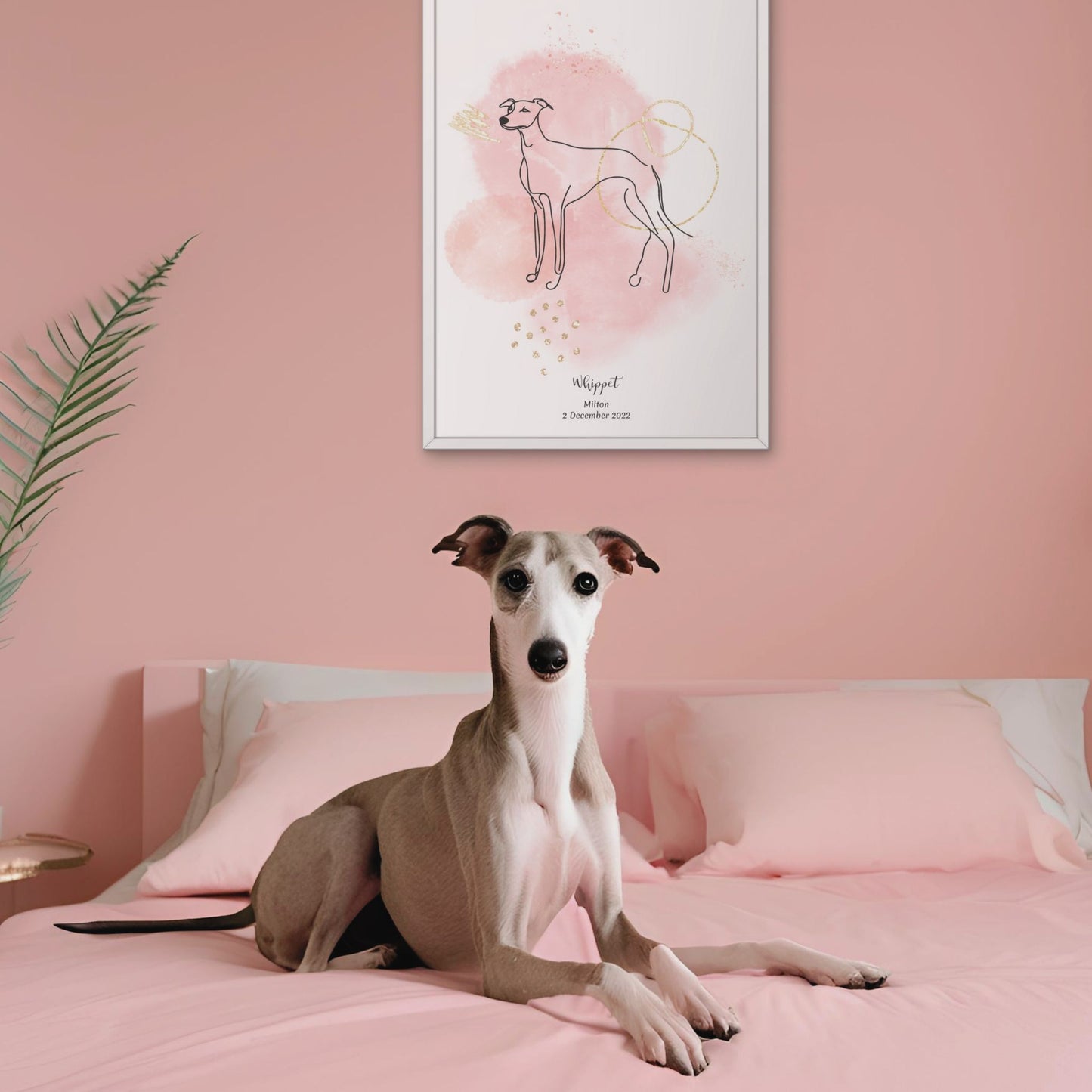 Minimalistisk rosa poster med Whippet och en elegant Whippet-hund bredvid, design från Colorful Pets.