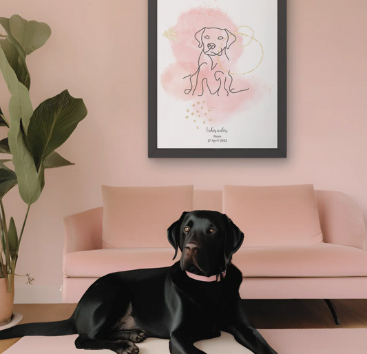 Varför vi älskar Labrador Retriever – en trogen vän för livet