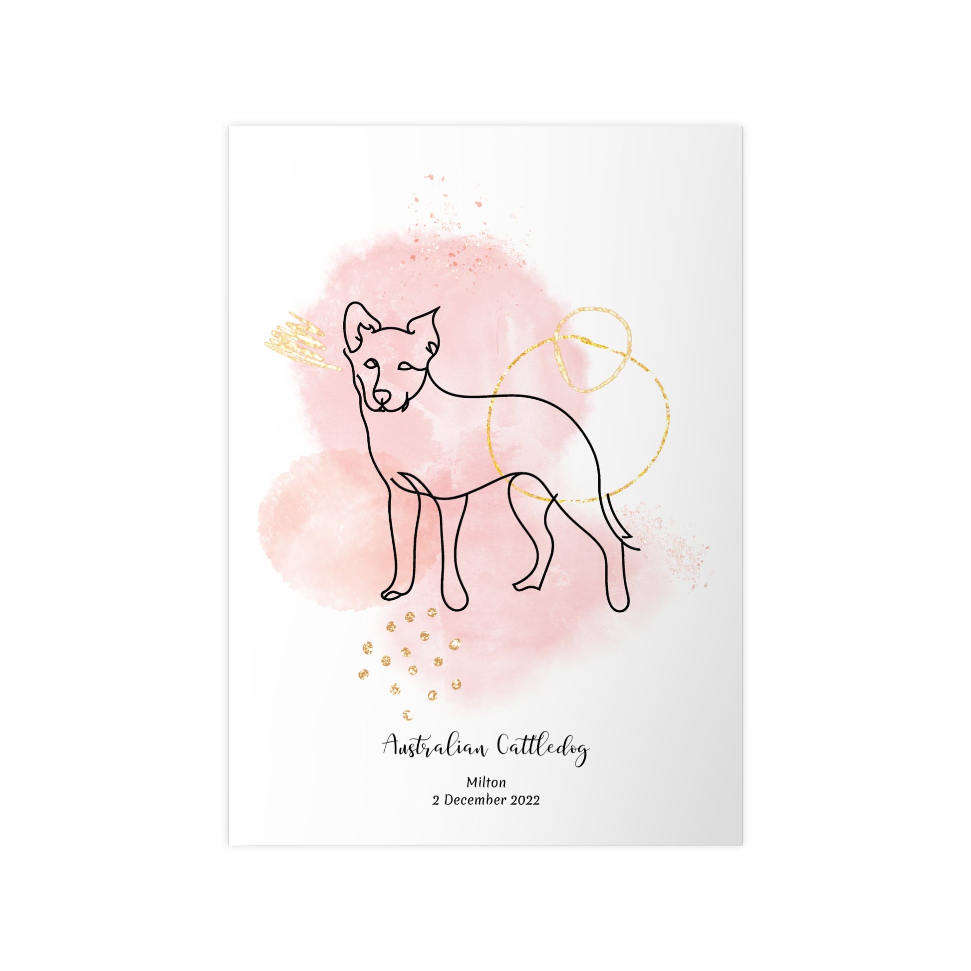 Minimalistisk rosa poster med Australian Cattledog, personlig design från Colorful Pets.