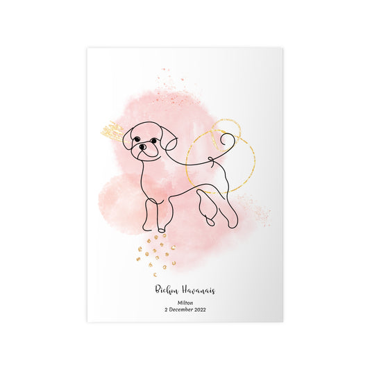 Minimalistisk rosa poster med Bichon Havanais, personlig design från Colorful Pets.